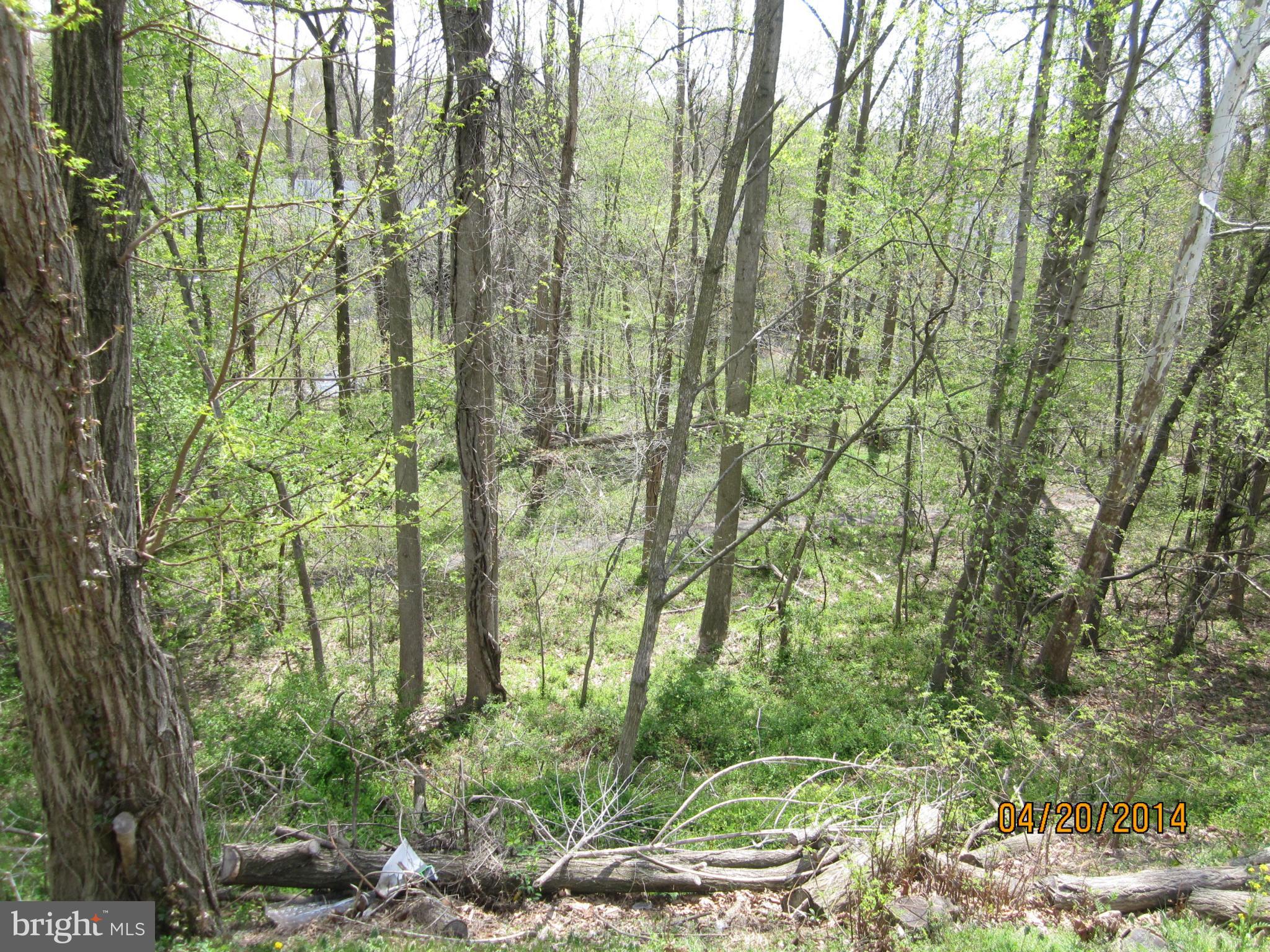 SPRINGFIELD OAKS - Residential Lease