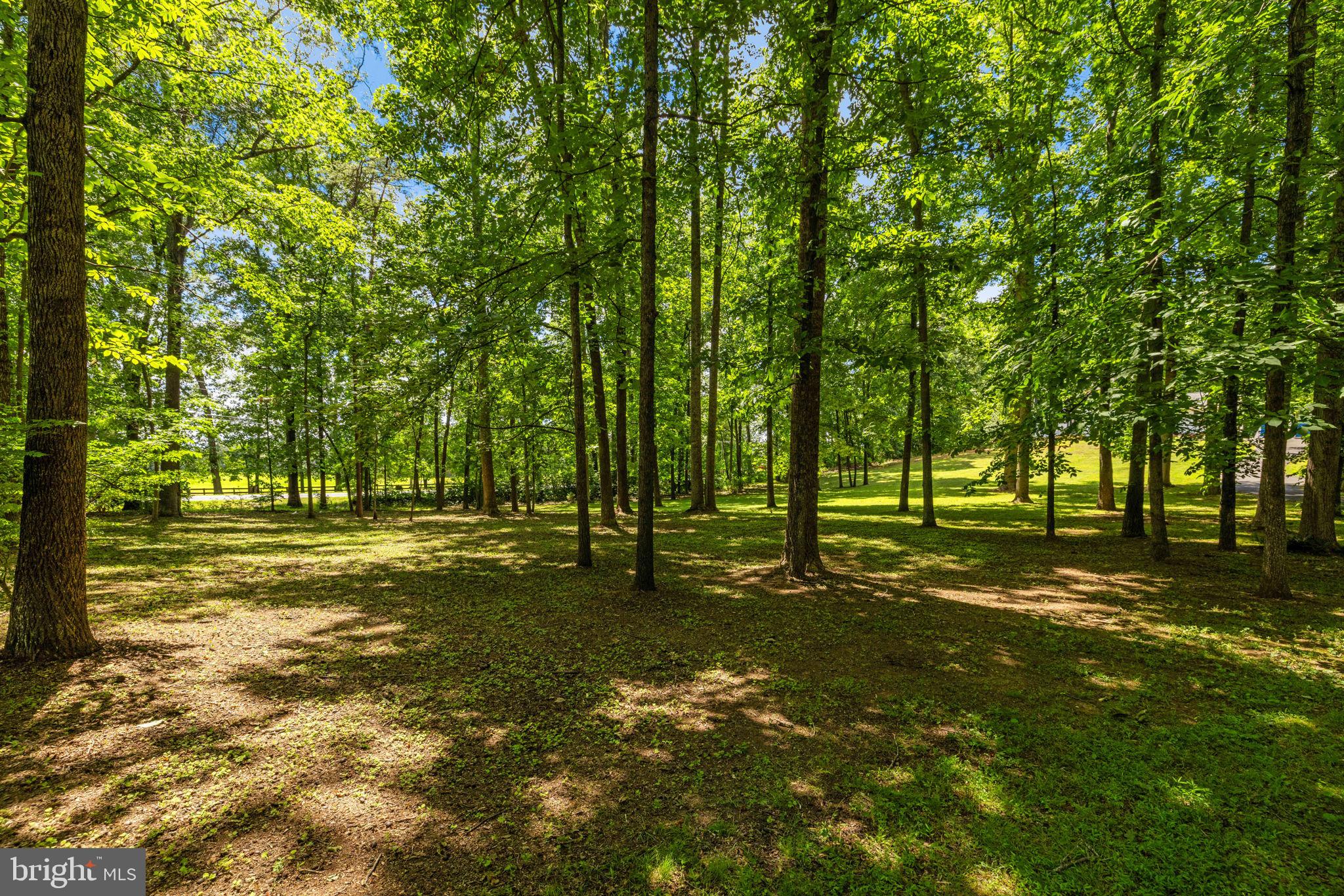 5032 CANTER LANE