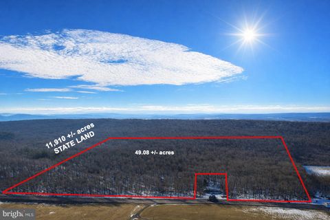 Vacant Land For Sale - 49.08 ACRES Maryland Highway<br/> SWANTON, MD 21561