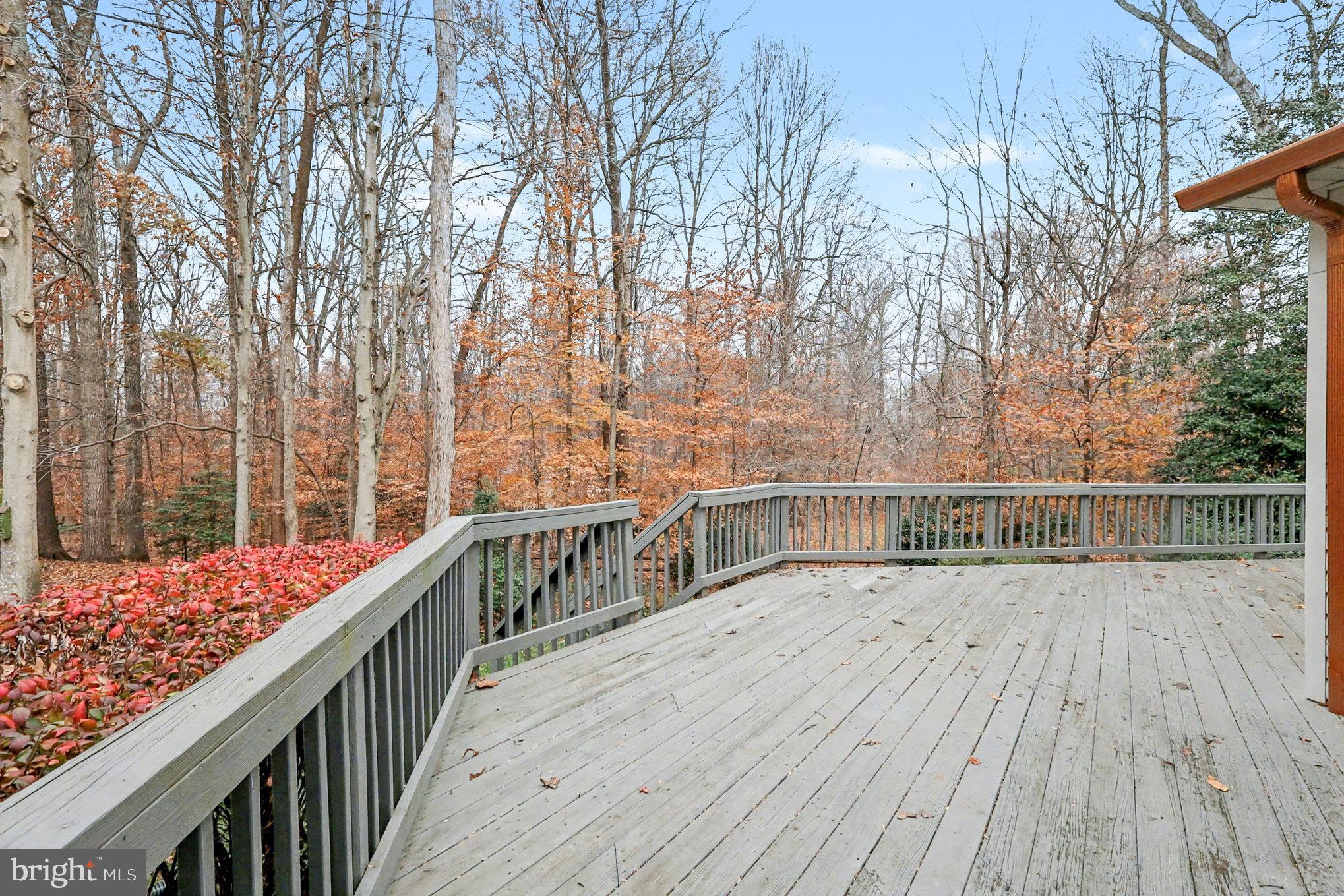 WOODBINE WOODS - Residential Lease