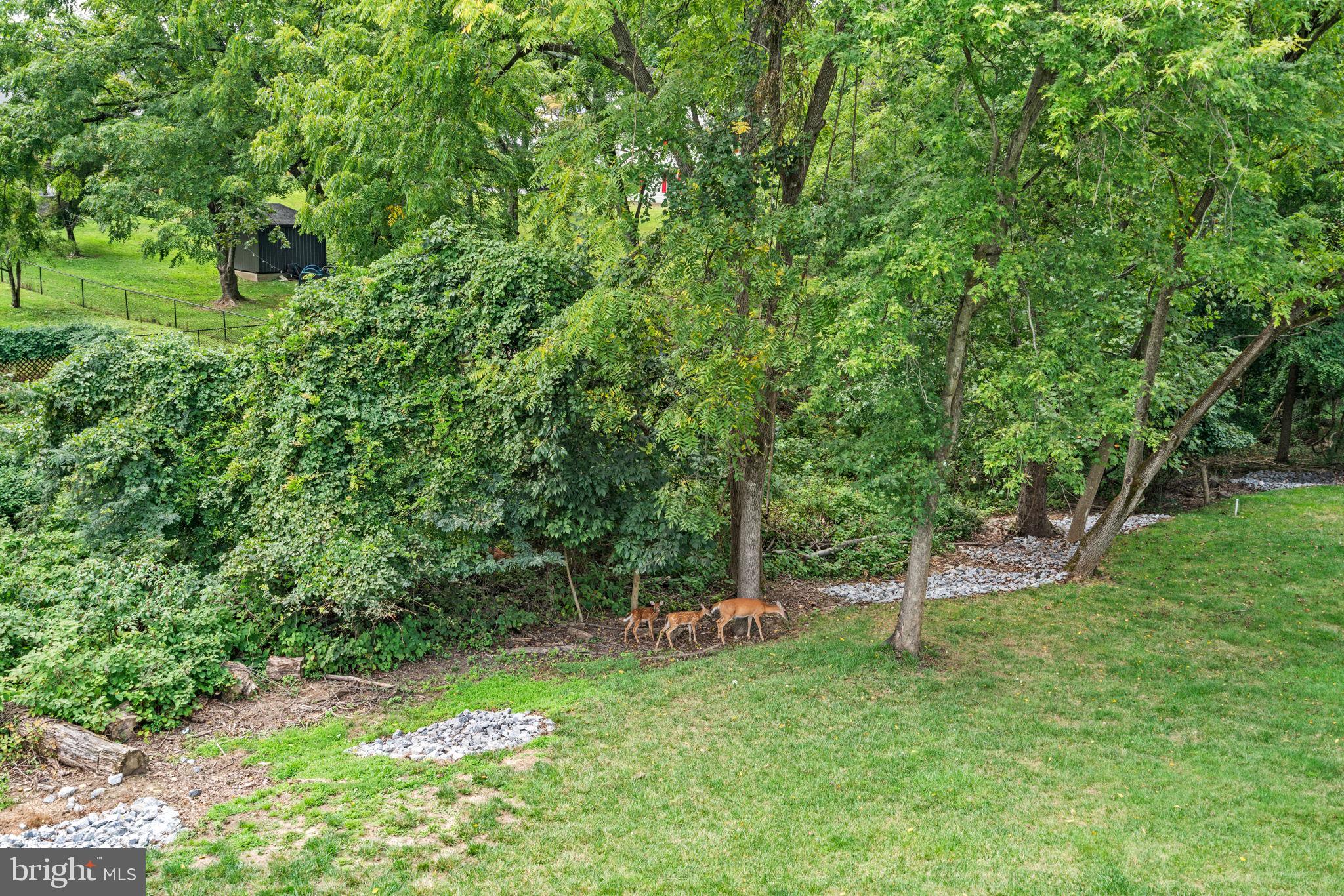 BEDFORD COMMONS - Residential