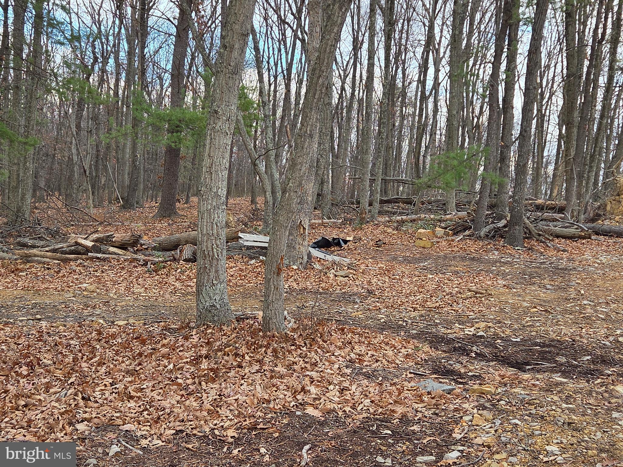 SHERMAN ESTATES - Residential