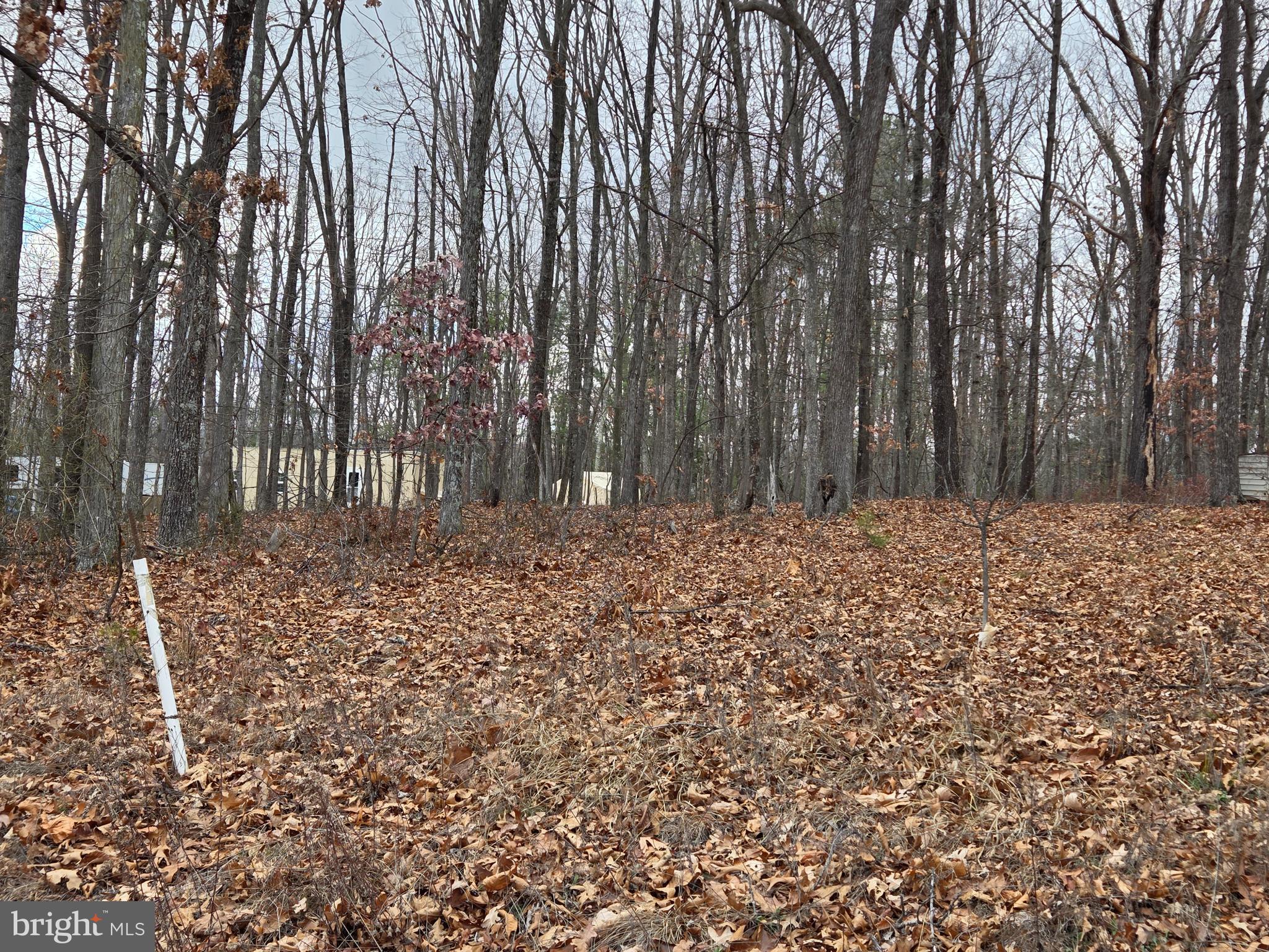 SHERMAN ESTATES - Residential