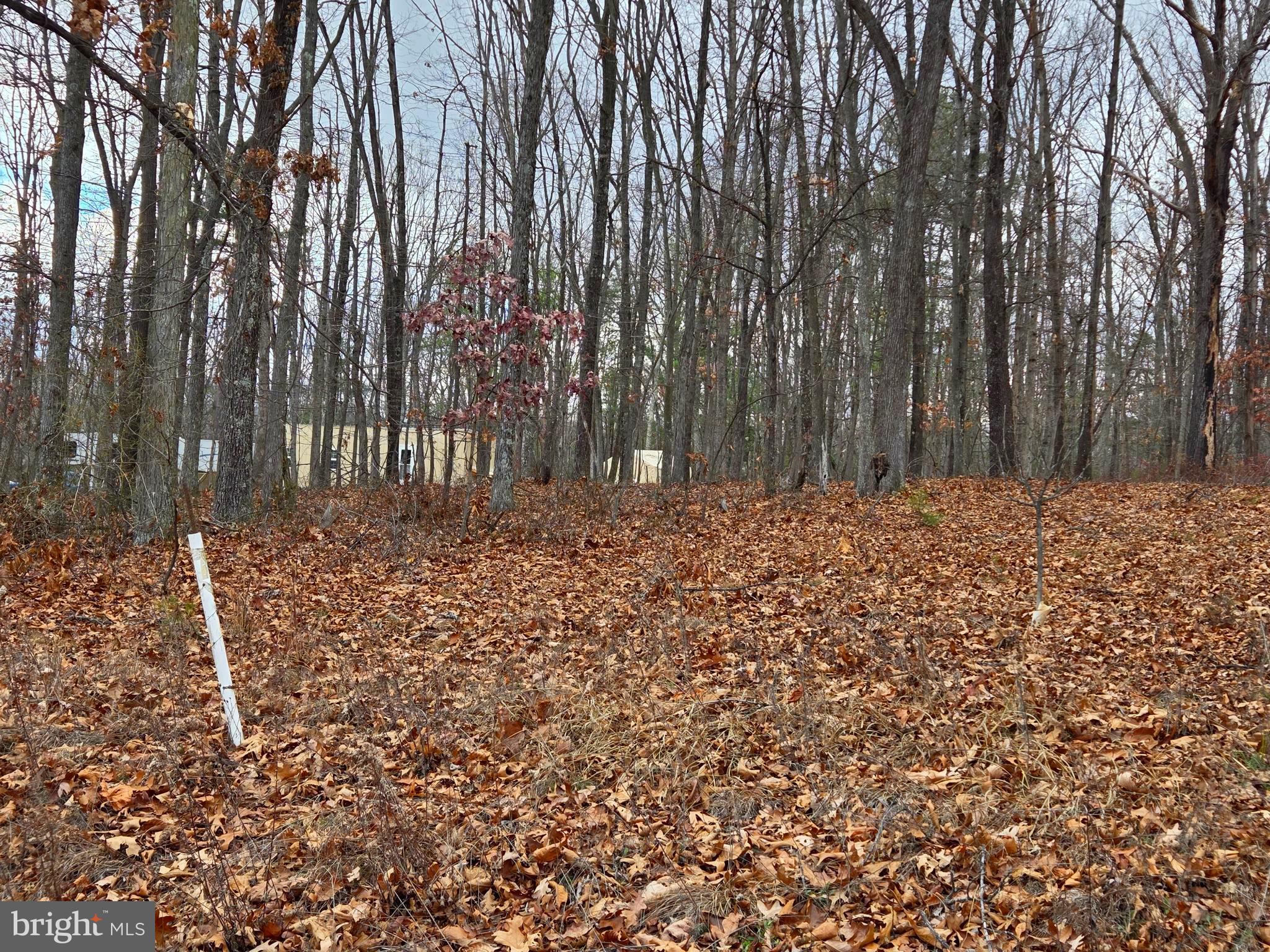 SHERMAN ESTATES - Residential