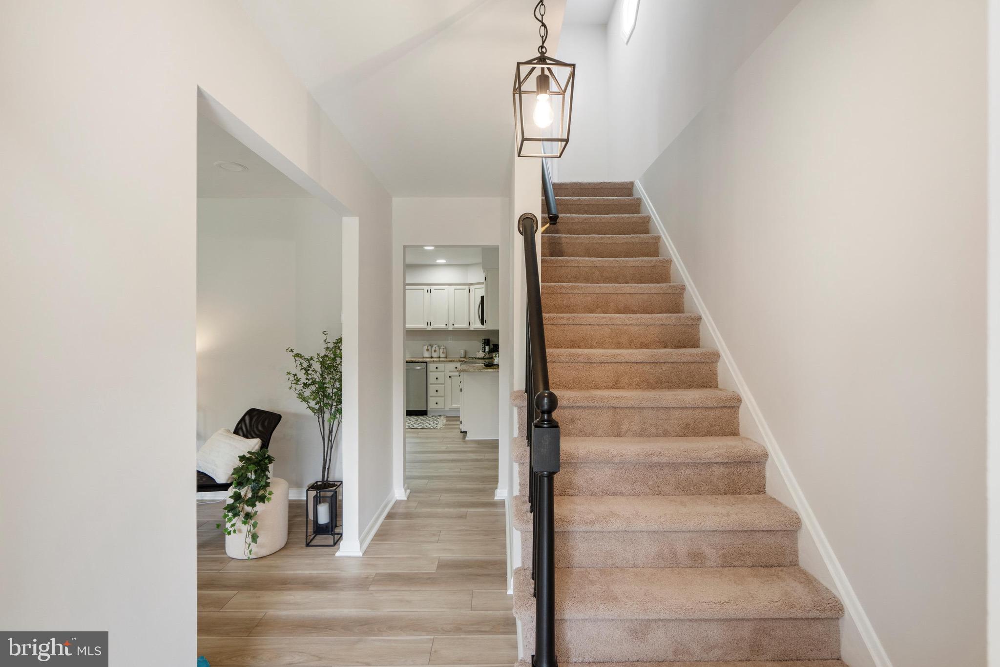 FOX BOW - Residential