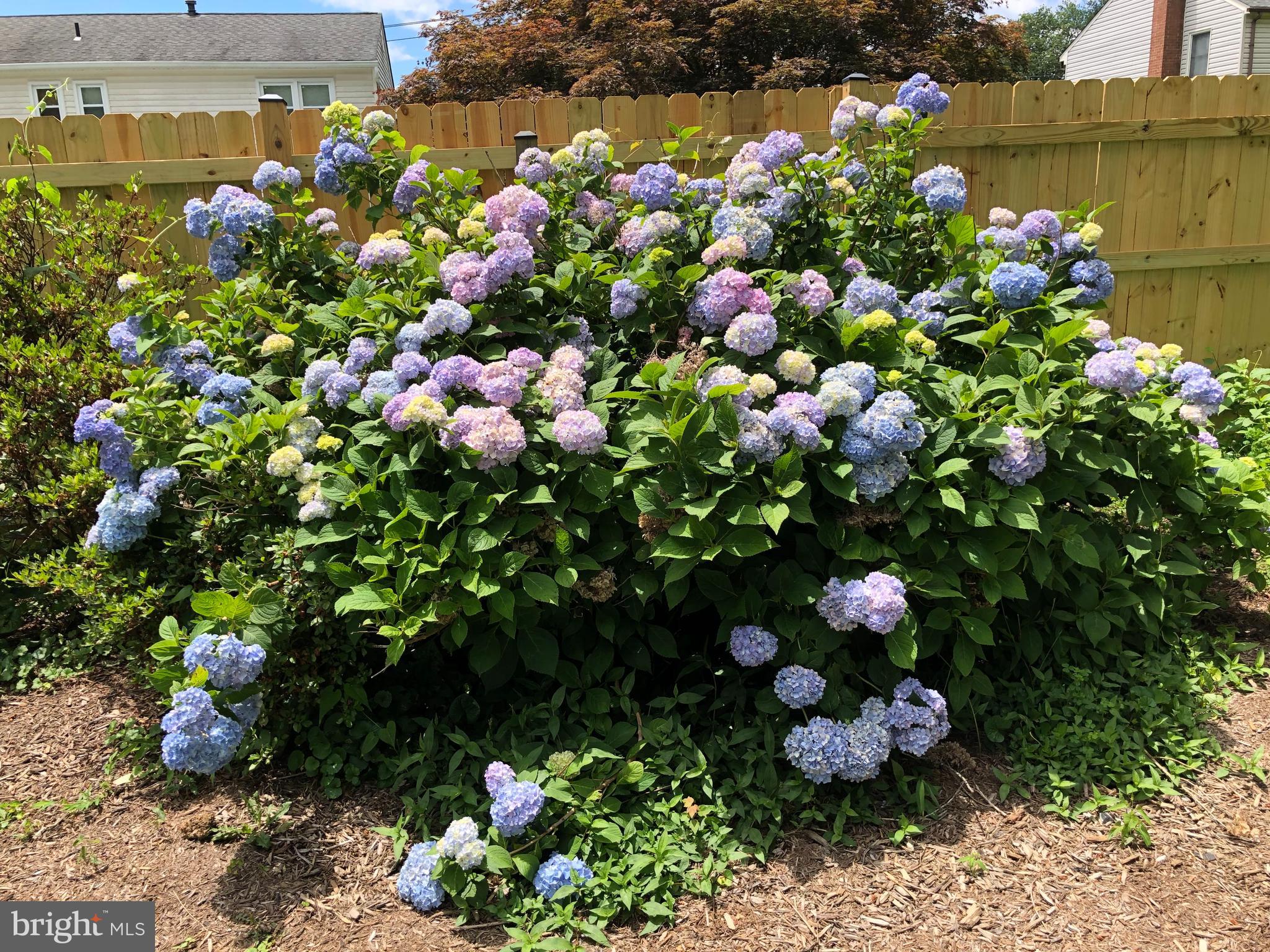 STONEGATE - Residential