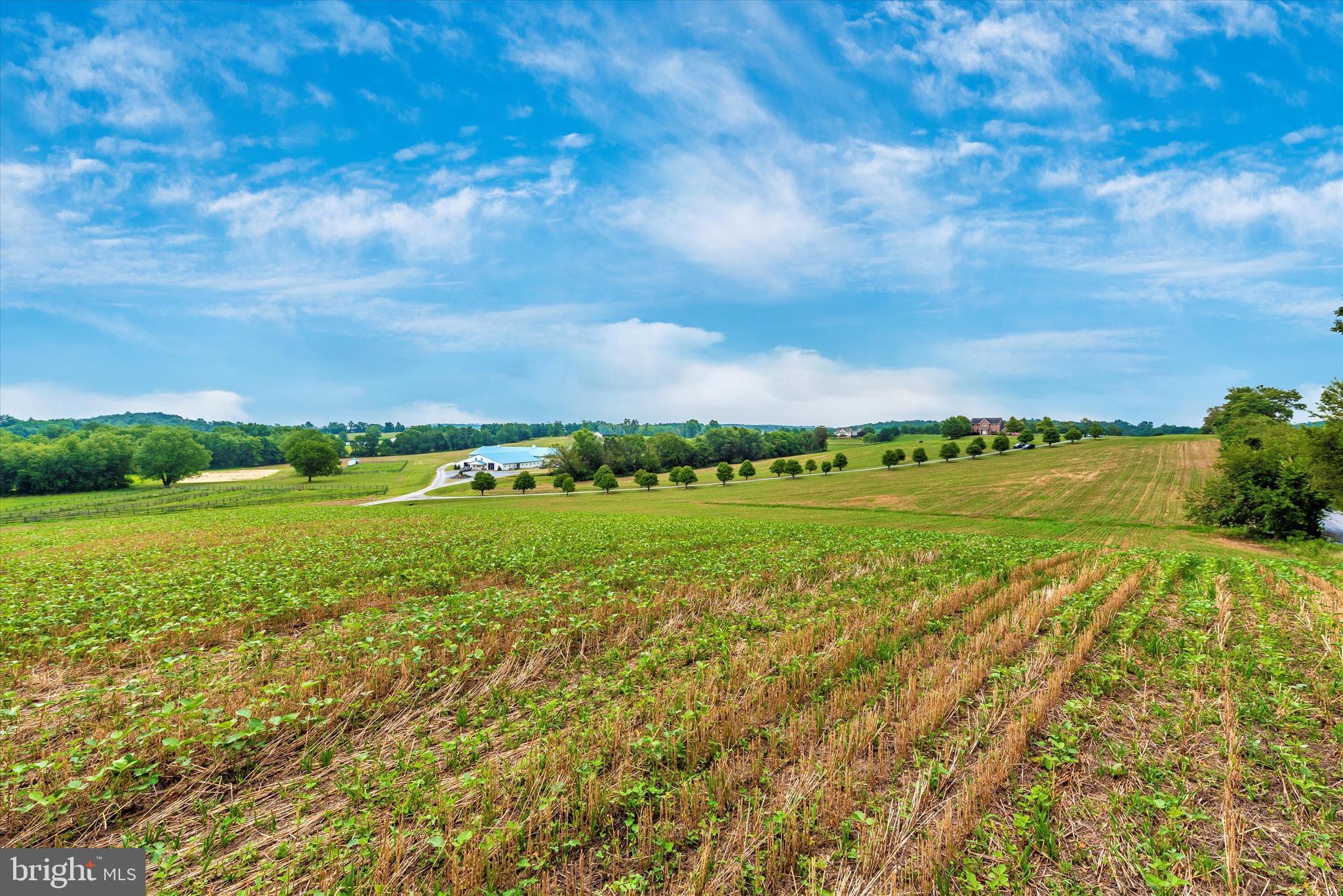 MT AIRY ESTATES - Farm