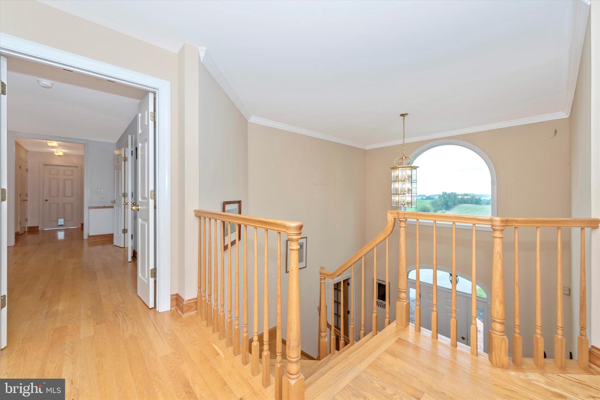 MT AIRY ESTATES - Farm