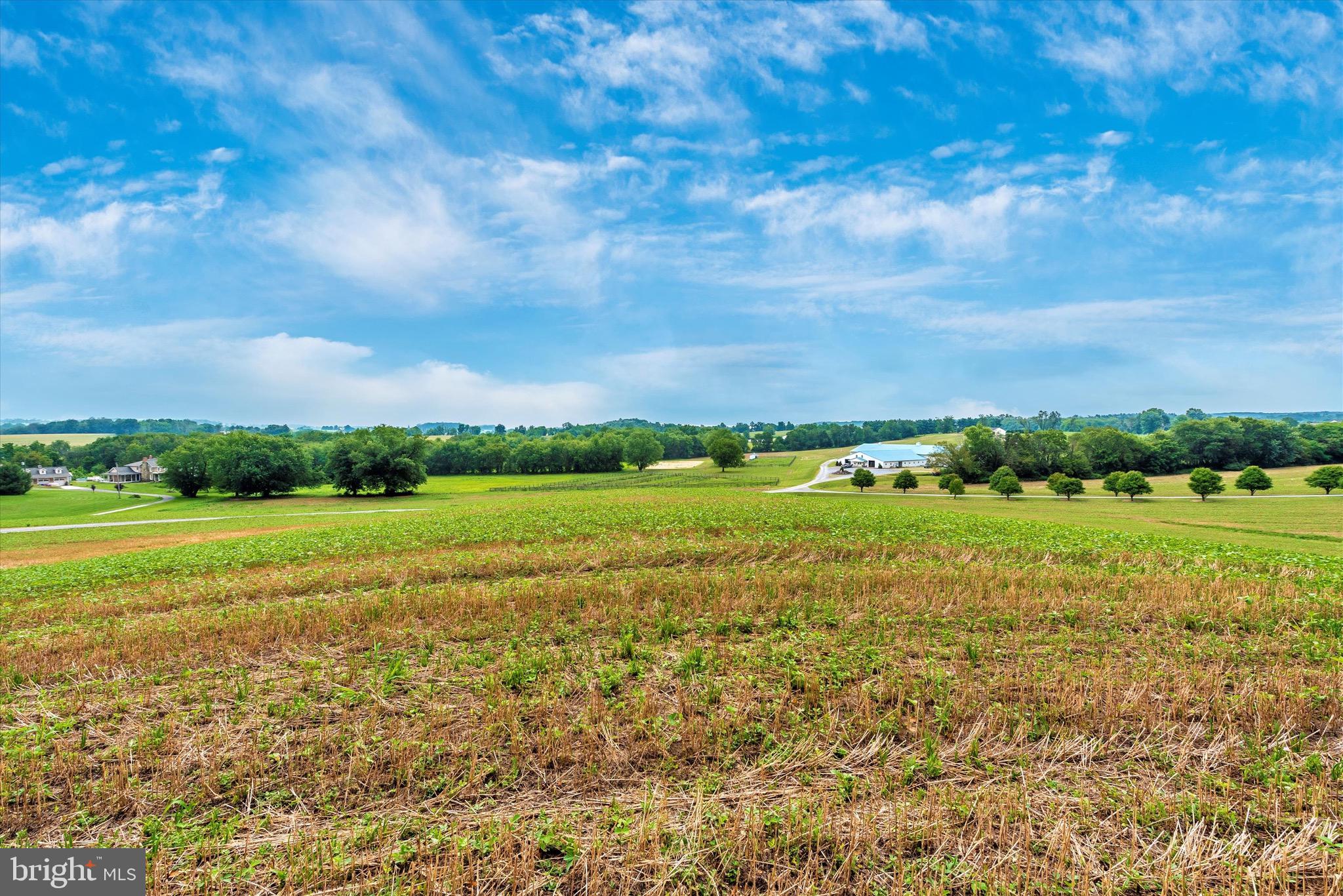 MT AIRY ESTATES - Farm