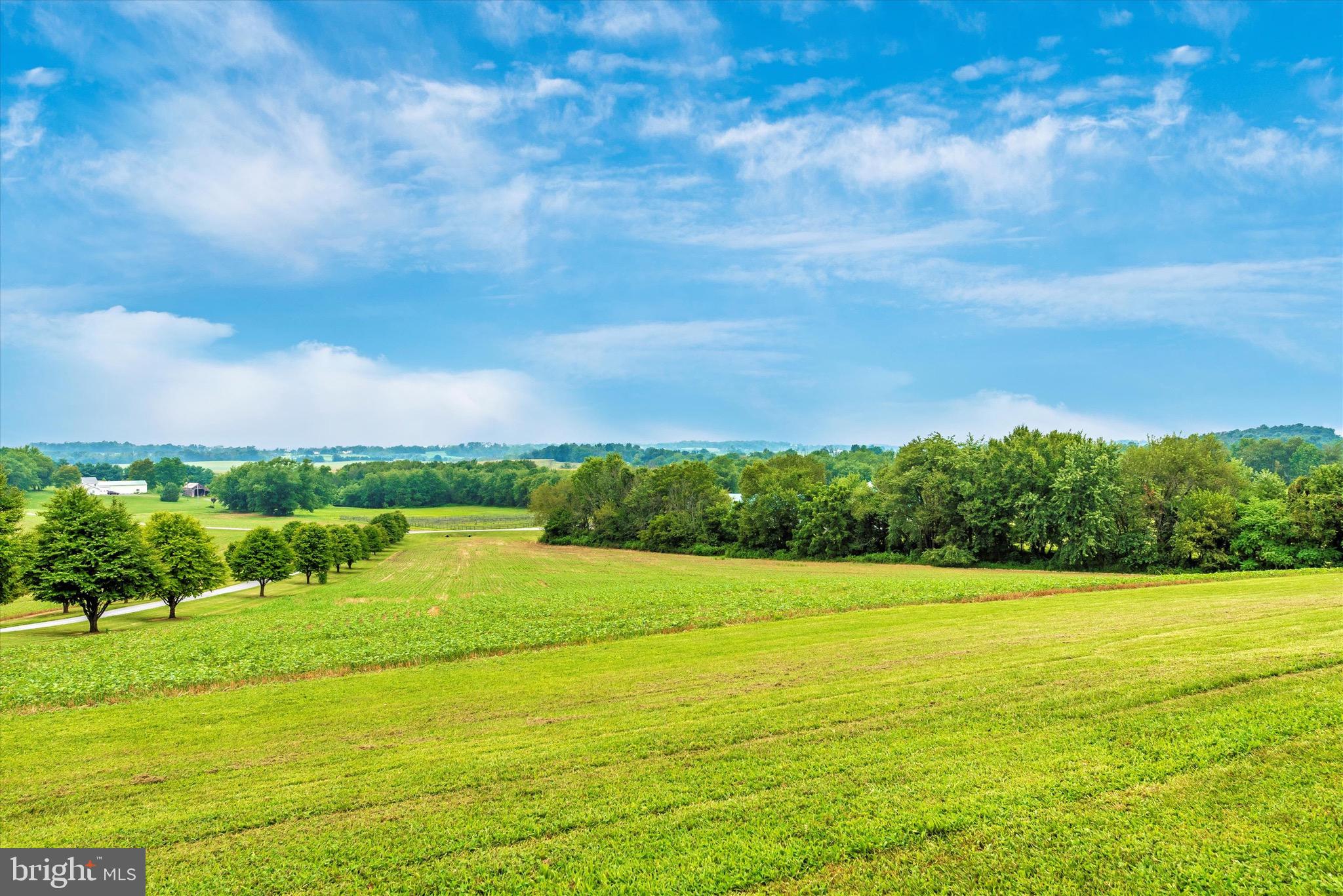 MT AIRY ESTATES - Farm