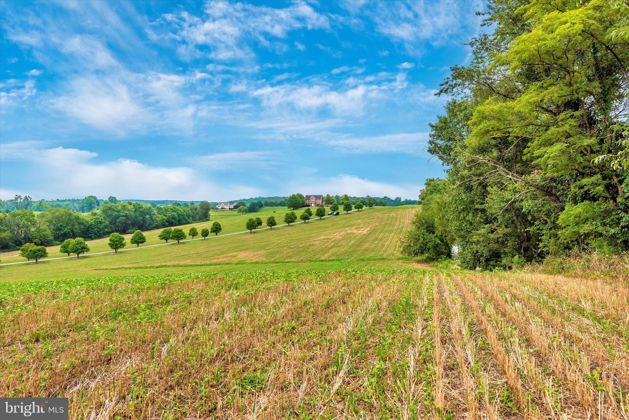 MT AIRY ESTATES - Farm