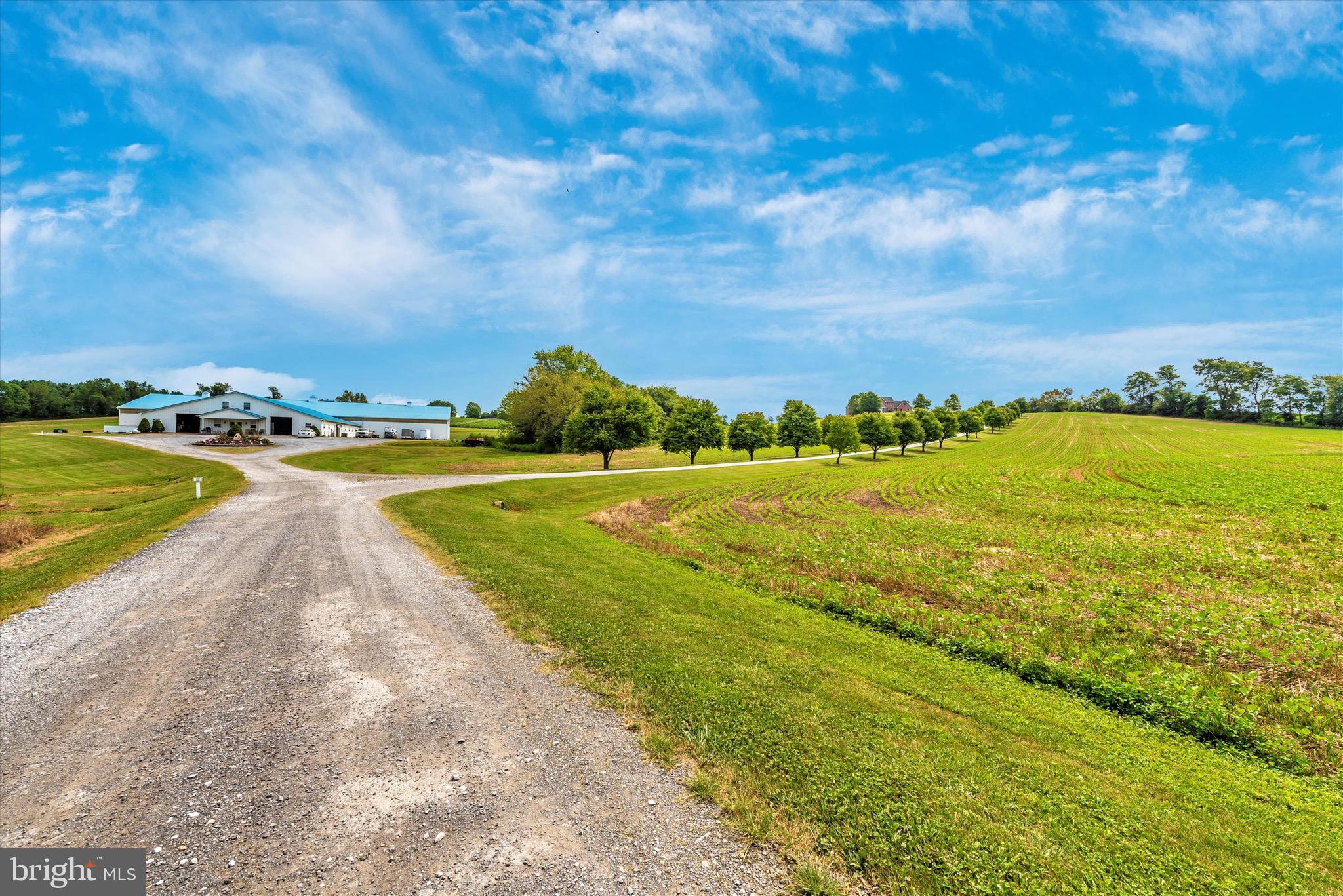 MT AIRY ESTATES - Farm