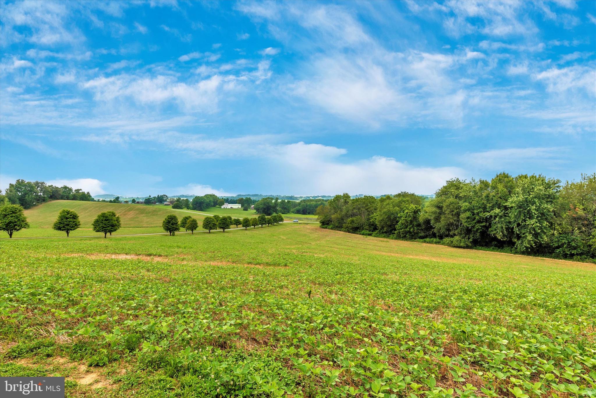 MT AIRY ESTATES - Farm