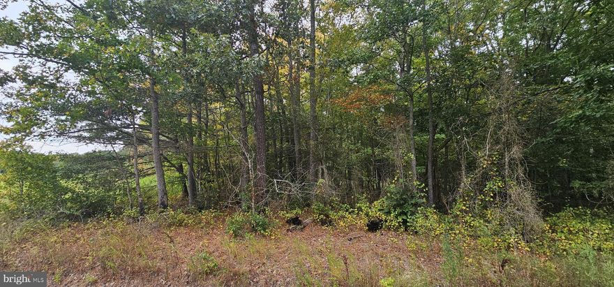 Escape to serenity without giving up convenience. This nearly 8.25‑acre parcel on Mount Vernon Road offers a peaceful feeling with towering trees, and abundant wildlife. With road frontage and a quiet rural setting just minutes from the shops, schools, and amenities in Princess Anne, it’s the perfect canvas for your custom home, weekend retreat, or nature‑minded investment. Don’t miss this rare chance to own a piece of the Eastern Shore that delivers both peace and practicality. ”Build your dream home or possibly 2 with this parcel. Somerset County says it could be a possibility.  This lot backs up to a creek and is wooded for privacy.   If you want to create your own oasis but have a convenient location this could be the perfect spot.
