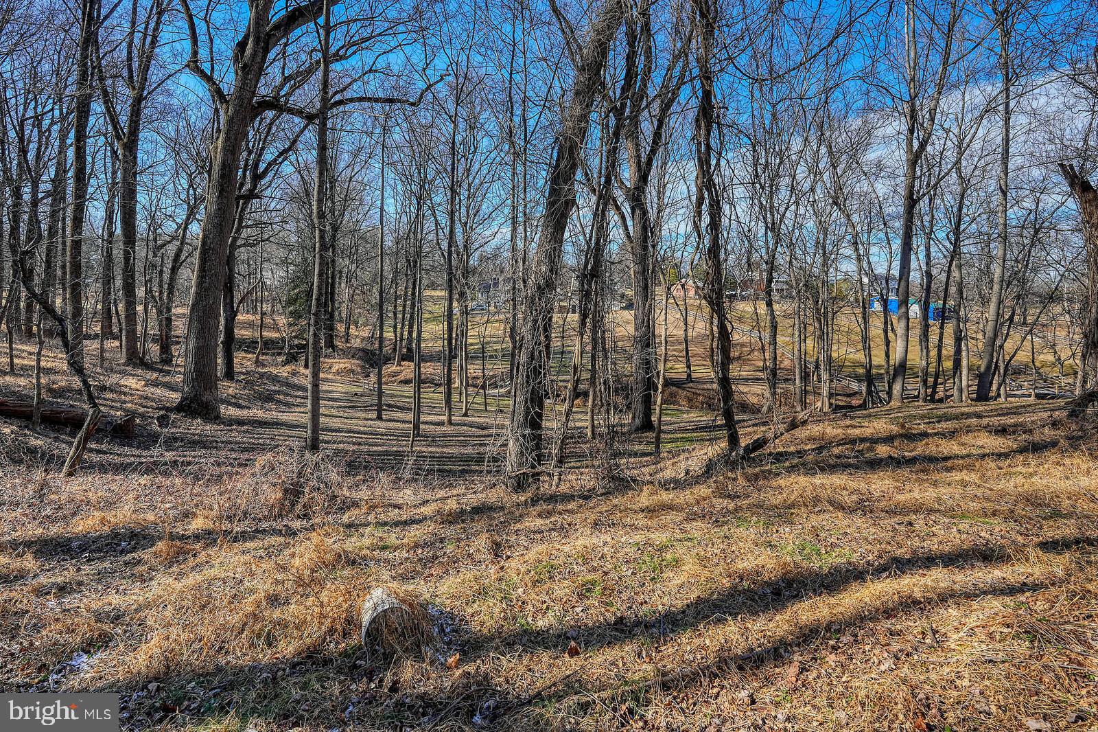 COLESVILLE OUTSIDE - Land