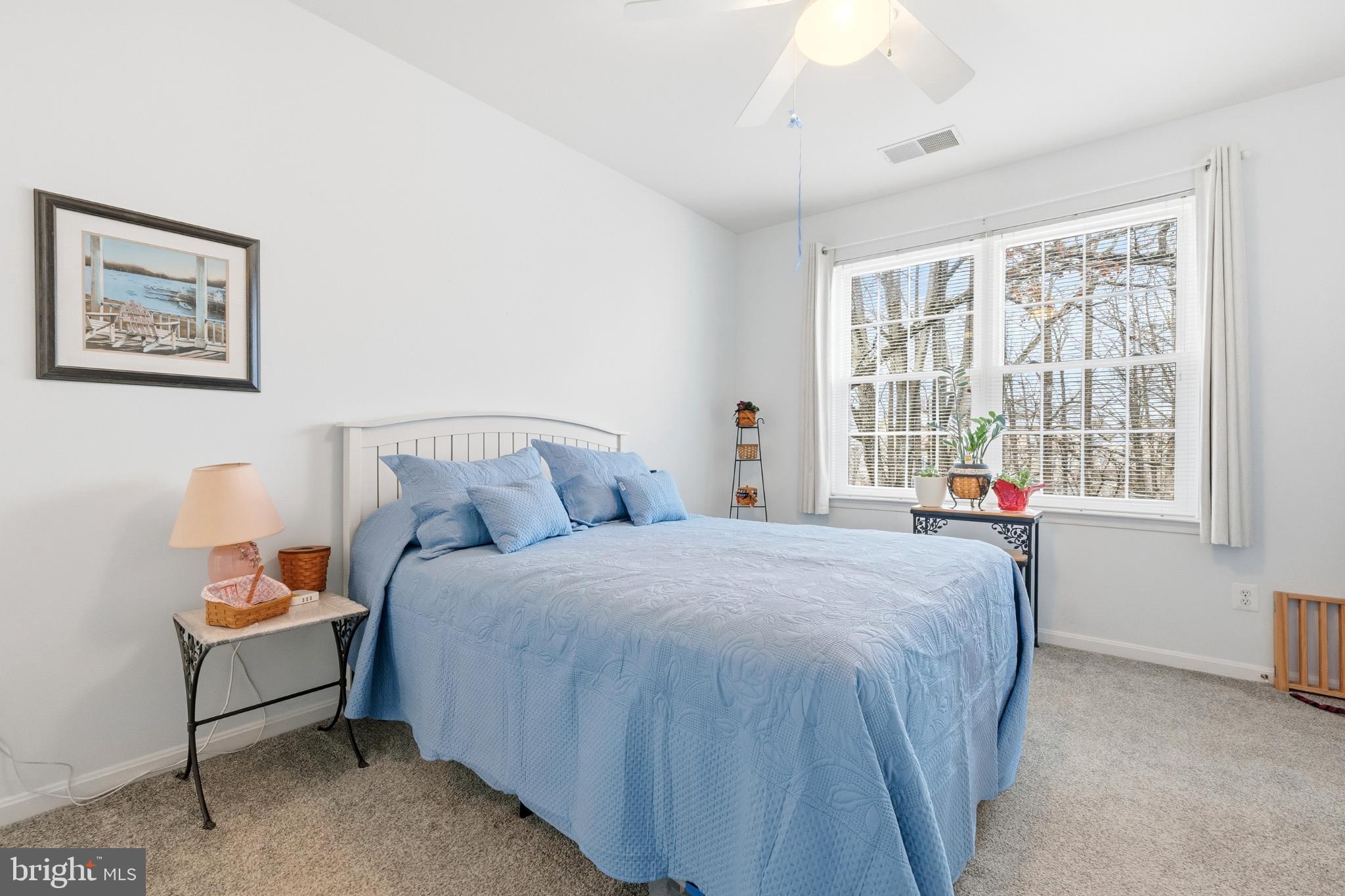 VILLAGE AT WAUGH CHAPEL - Residential