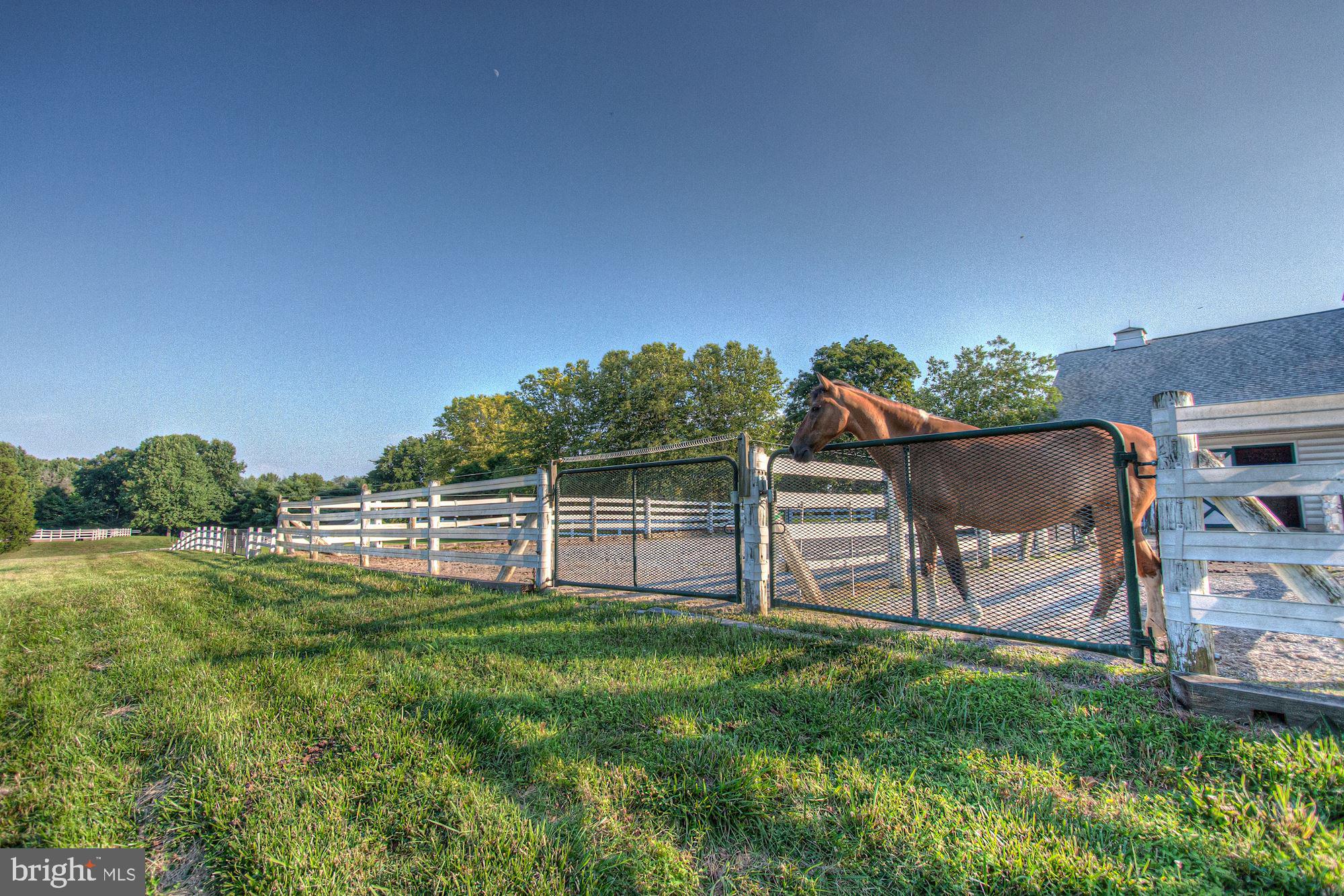 DARNESTOWN OUTSIDE - Residential