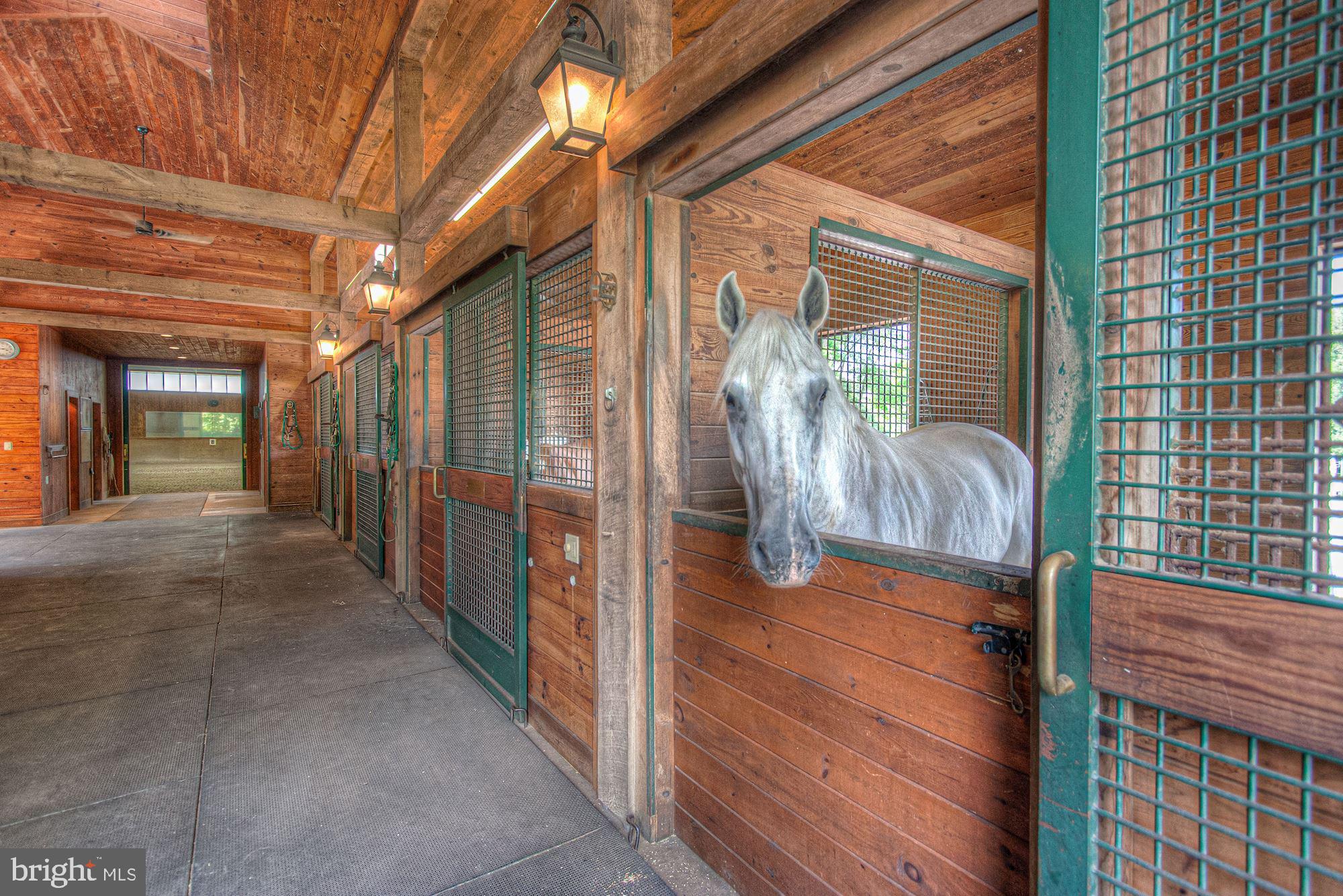 DARNESTOWN OUTSIDE - Residential