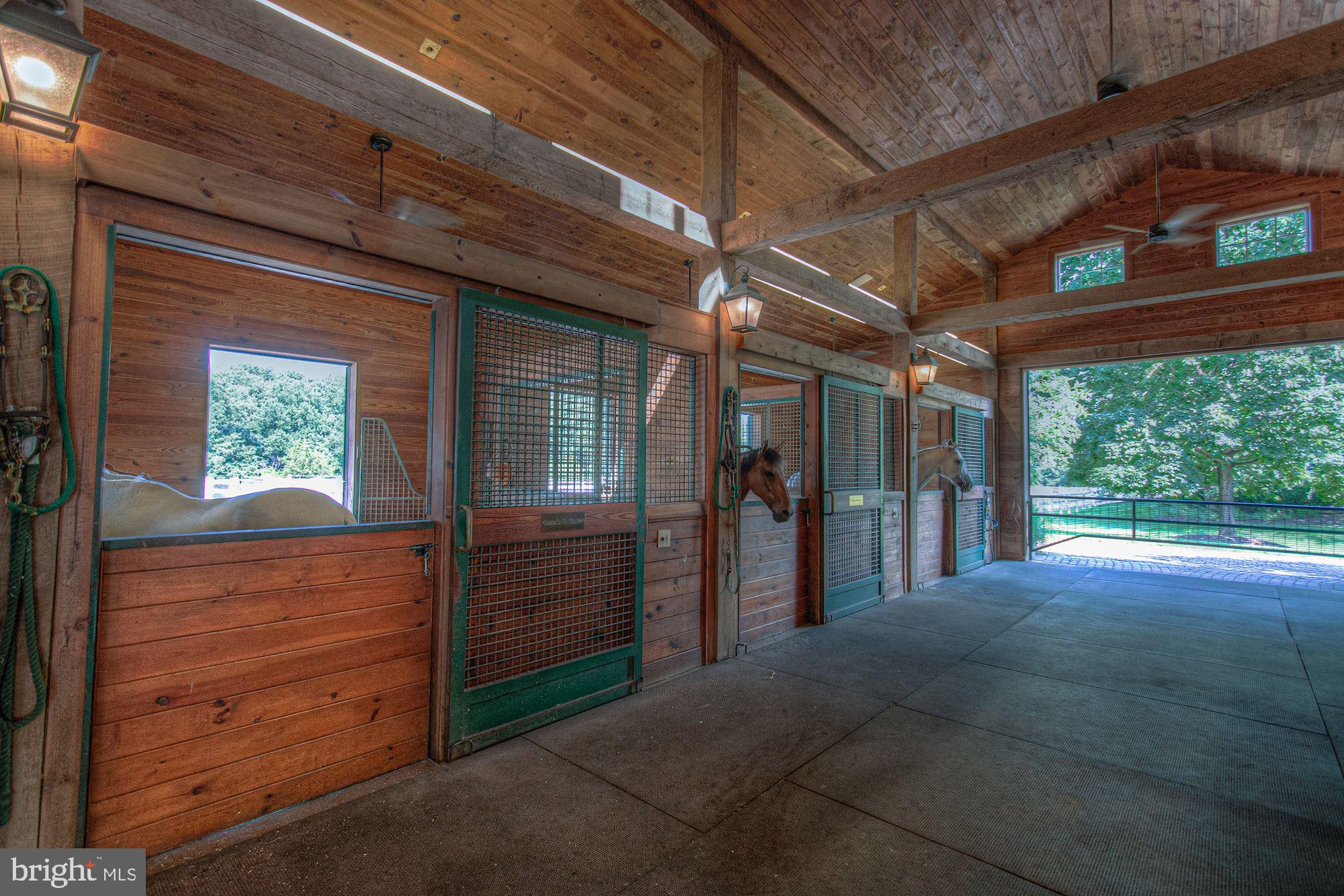 DARNESTOWN OUTSIDE - Residential