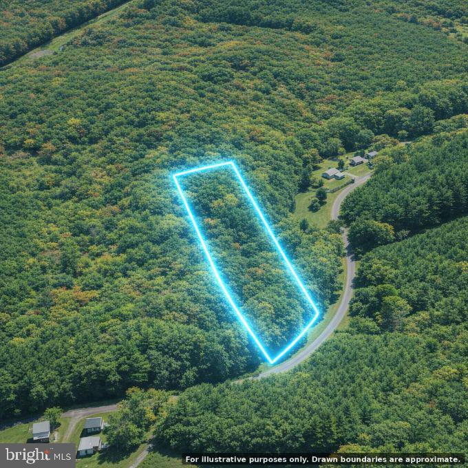 BALL PARK LOOP