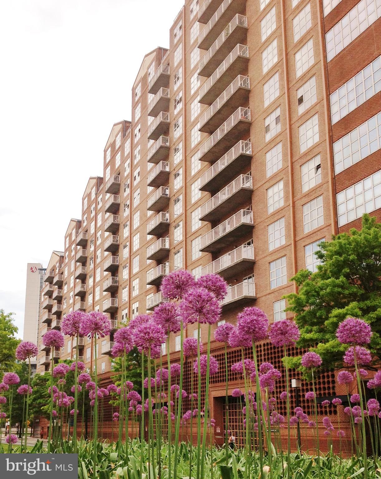 HARBOR EAST - Residential