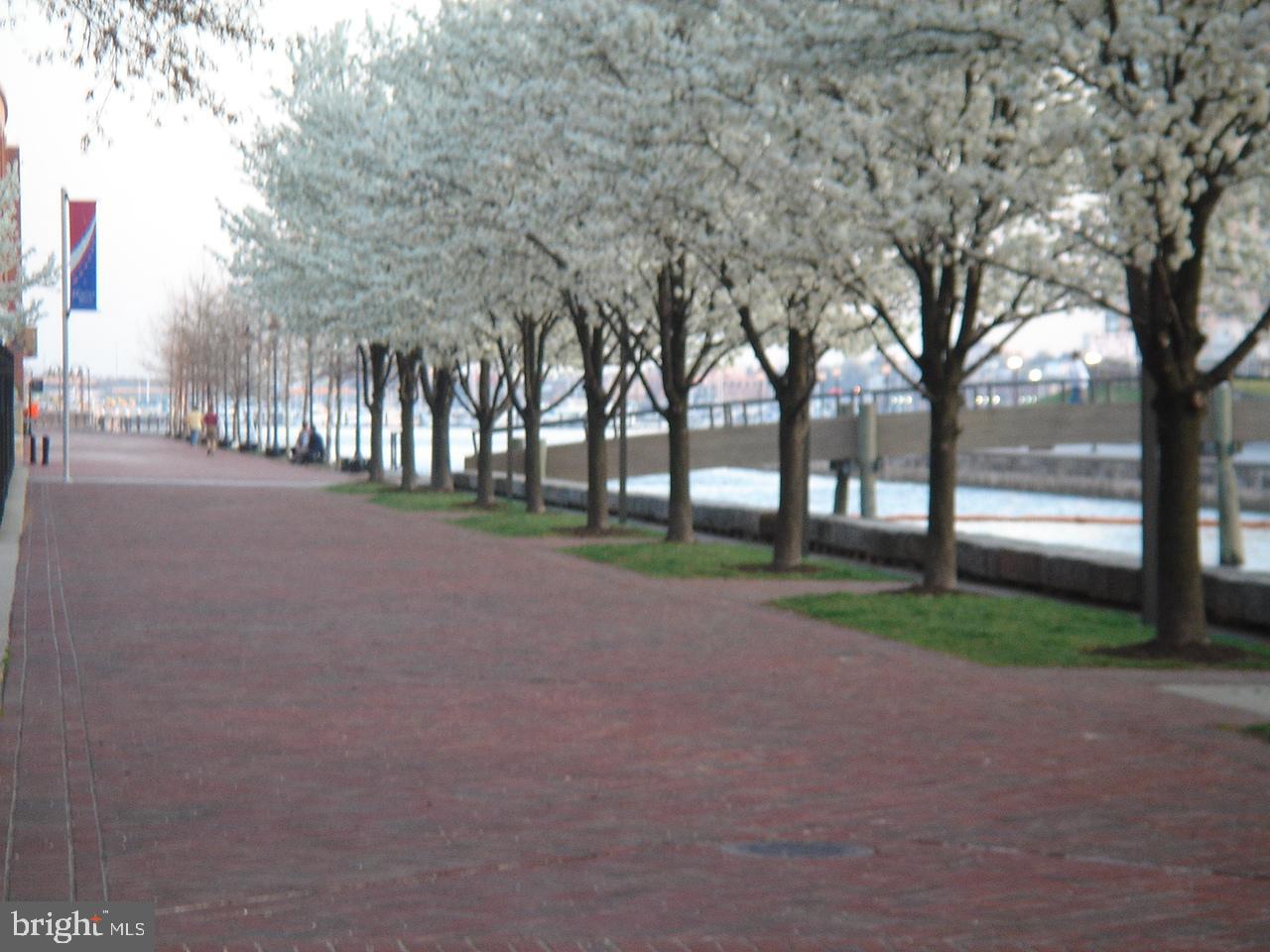 HARBOR EAST - Residential