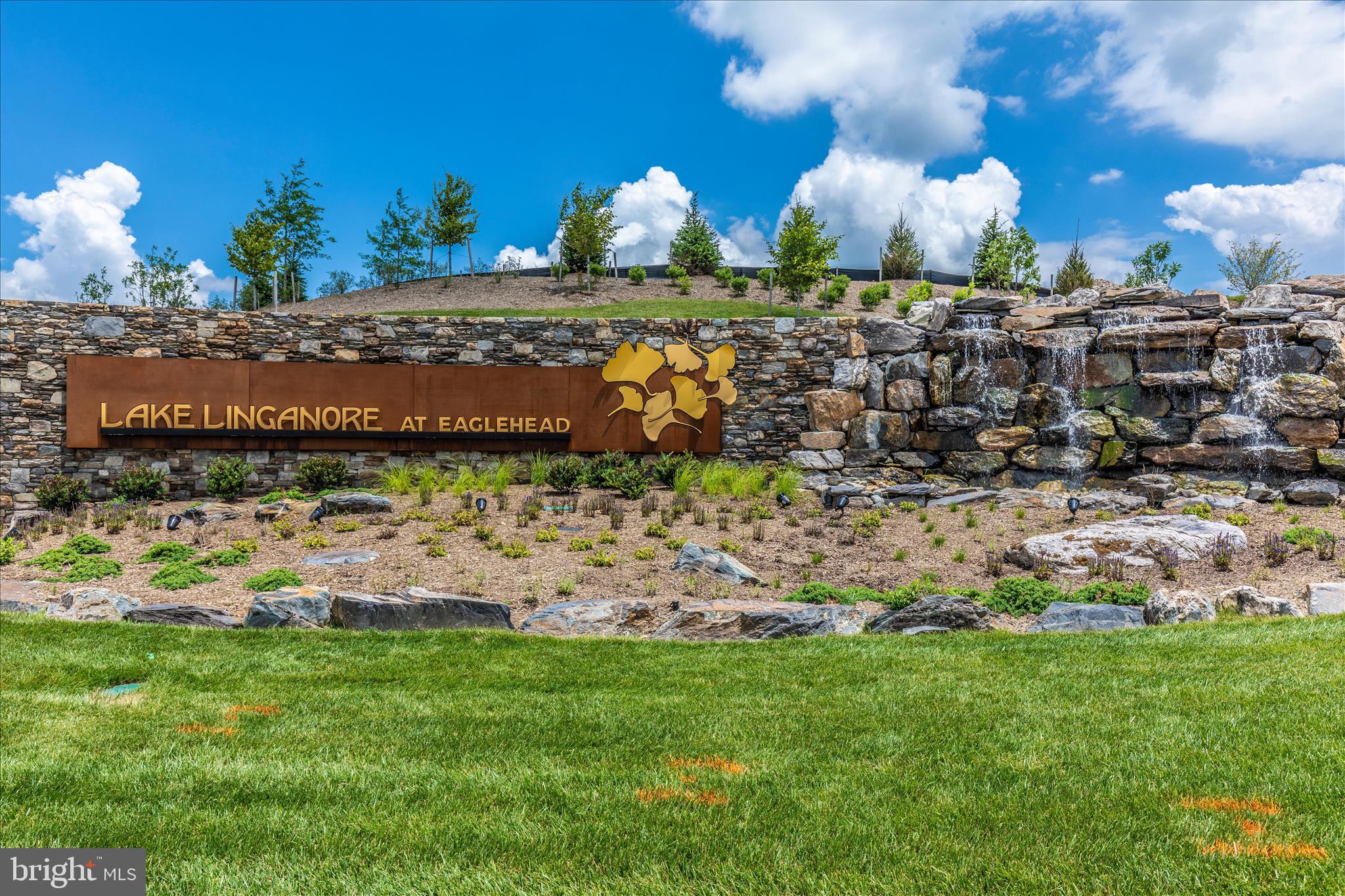 LAKE LINGANORE - Residential