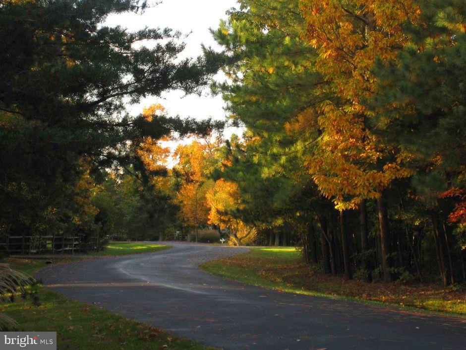 COVE CREEK CLUB - Residential