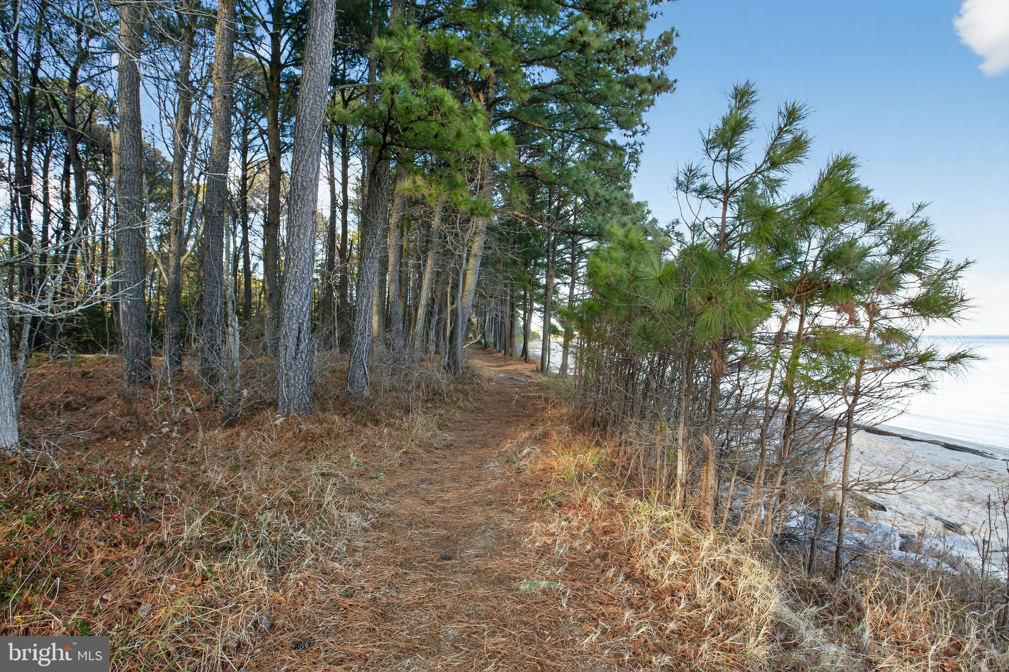 CEDAR COVE - Residential