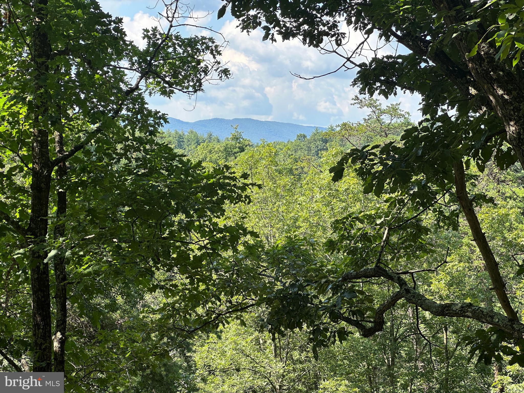 120 ACRES ON GEORGE WASHINGTON NATIONAL FOREST