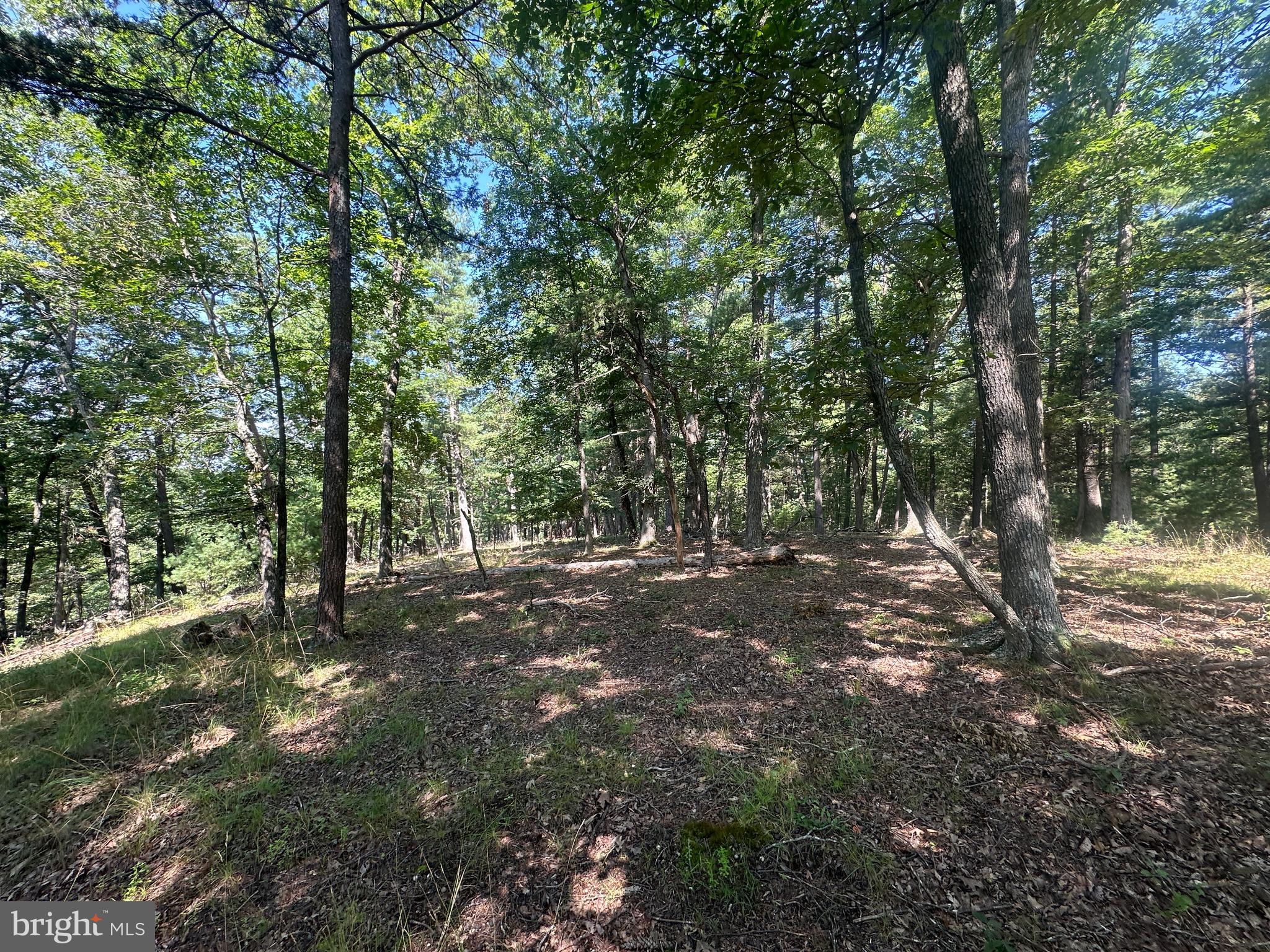 NONE AVAILABLE - Land