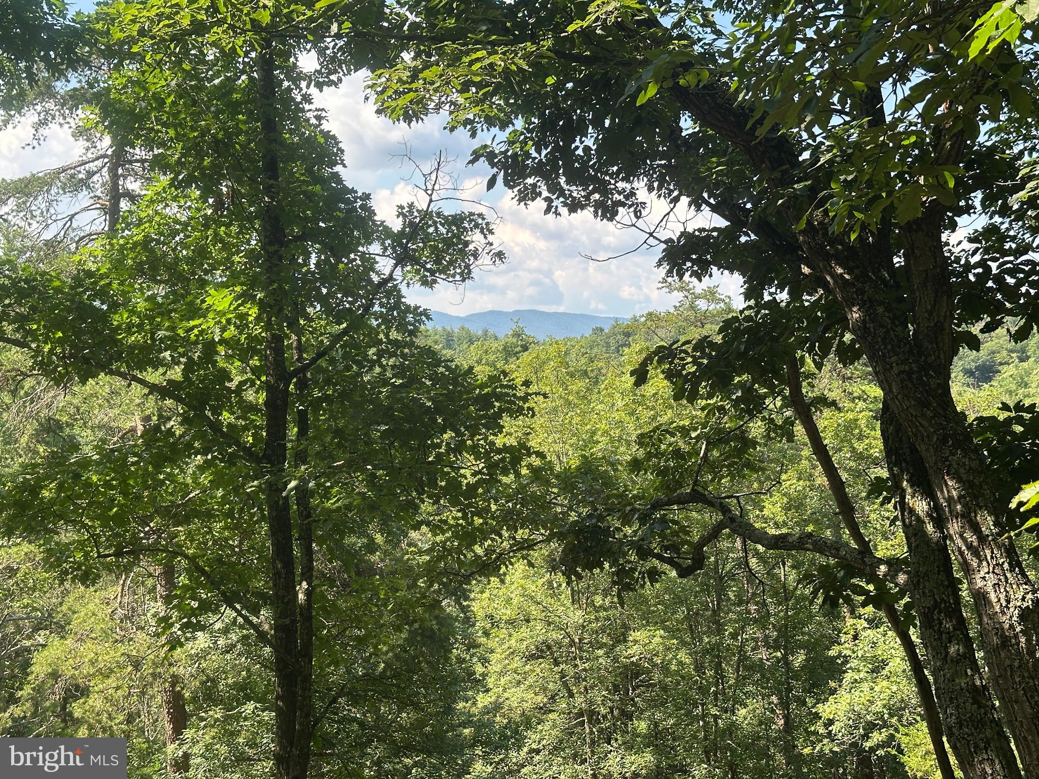 NONE AVAILABLE - Land