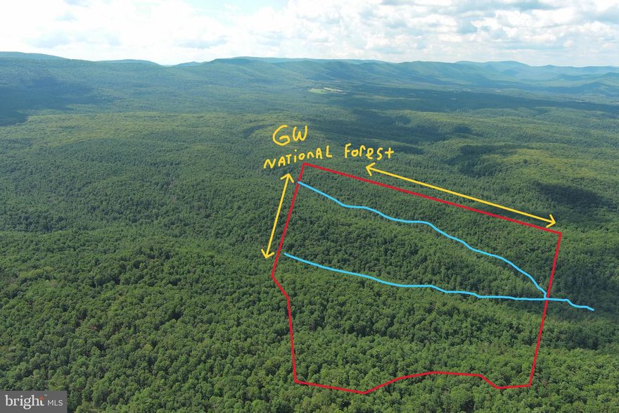 ADVENTURE SEEKERS ONLY.....120 ACRES OF PRISTINE WILDERNESS SURROUNDED ON 2 SIDES BY THE GEORGE WASHINGTON NATIONAL FOREST, 4137 FT OF COMMON BOUNDARY WITH THE FOREST. 2000 + FT OF "HAWK RUN" FLOWS THROUGH THE MIDDLE OF THE PROPERTY. EASY BUILD SITE ALONG THE ACCESS ROAD OFFERS MASSIVE MOUNTAIN VIEWS TO THE SOUTHWEST. WANNA GET OFF THE GRID? THE PERFECT PLACE FOR A SOLAR POWERED PALACE. ONLY A MILE OFF THE PAVED ROAD AND RELATIVELY EASY ACCESS FOR THIS TYPE OF LAND AND LEVEL OF PRIVACY.....FEELS LIKE YOU'RE 10 MILES DEEP IN THE MIDDLE OF DOWNTOWN NOWHERESVILLE. HUNT FOR ANY TYPE OF BIG OR SMALL GAME, ATV PARADISE, HIKERS DREAM. IF YOU BLAZE THROUGH 100 ROUNDS IN THE WOODS AND THERE'S NOBODY AROUND TO HEAR IT, DOES IT MAKE A SOUND? LESS THAN 15 MINUTES FROM THE THRIVING VILLAGE OF WARDENSVILLE, 35 MINUTES FROM WINCHESTER, VA AND 110 MILES FROM THE WHITE HOUSE! EASY TO GET TO BUT HARD TO FIND, THE DRIVE FROM DC BELTWAY IS A BREEZE. NO HOA AND MINIMAL DEED RESTRICTIONS. UNDEVELOPED, UNTAMED, UNLIMITED POTENTIAL....YOUR SENSES WILL BECOME UNHINGED BY ALL THE NATURAL BEAUTY AND DEAFENING SILENCE! YOU CAN'T JUST BUY A PROPERTY LIKE THIS WHEN YOU GET THE URGE, YOU HAVE TO BUY ONE WHEN IT'S AVAILABLE.....HALLEY'S COMET COMES AROUND MORE OFTEN THAN A PROPERTY LIKE THIS!