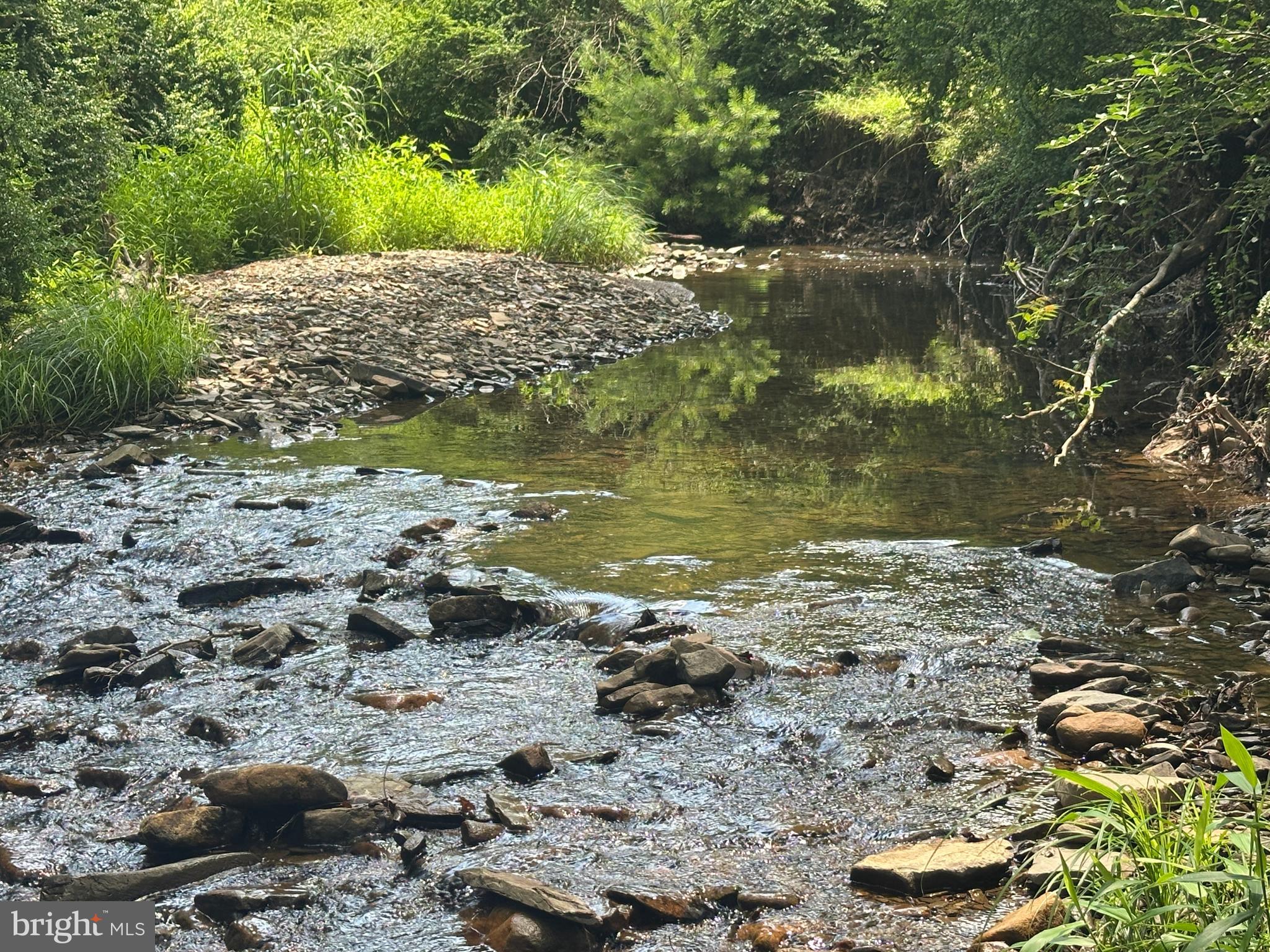 120 ACRES ON GEORGE WASHINGTON NATIONAL FOREST