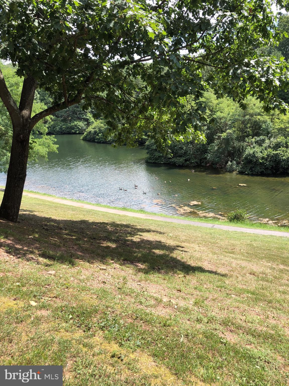 THE WOODS - Residential