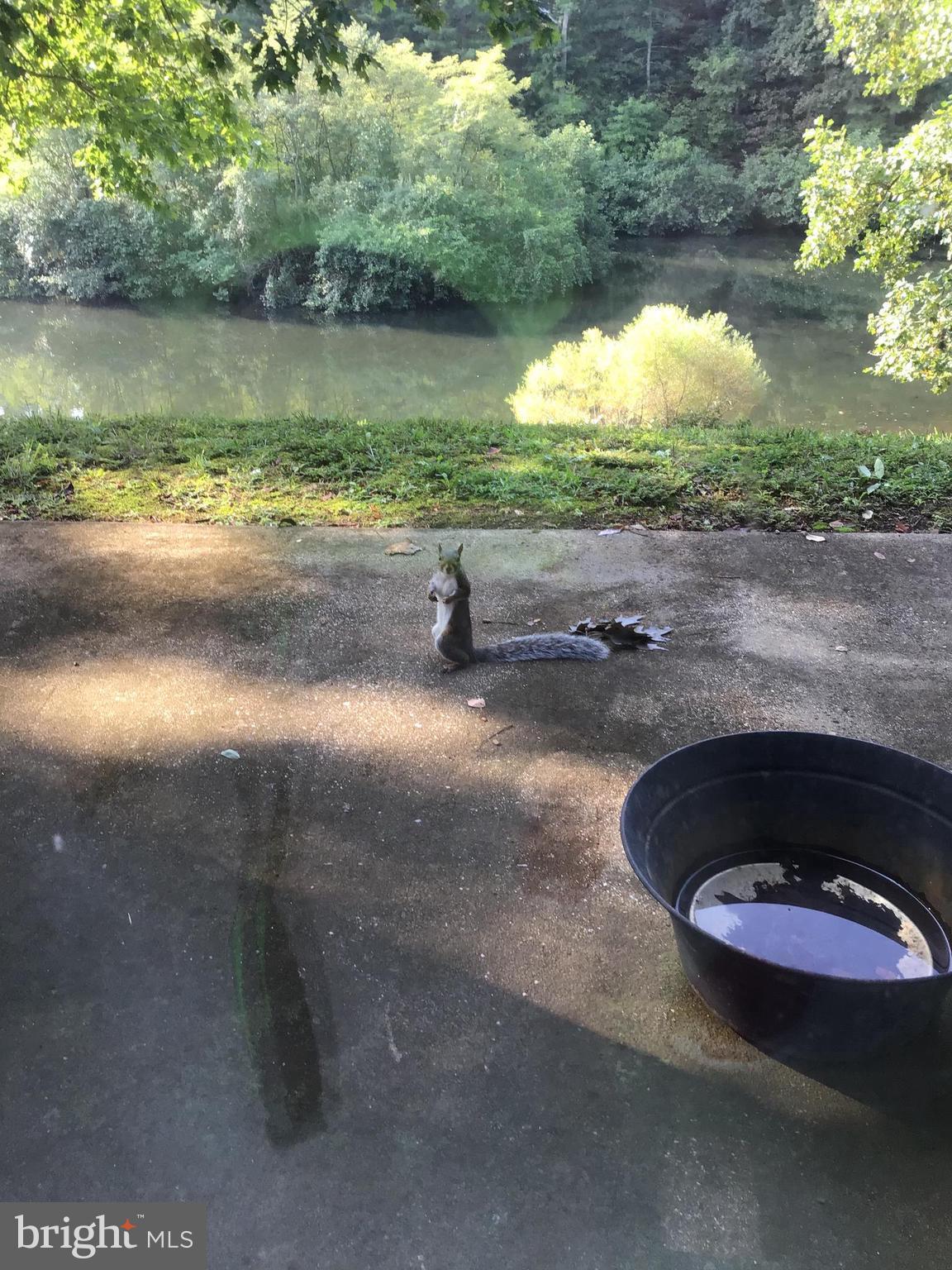 THE WOODS - Residential