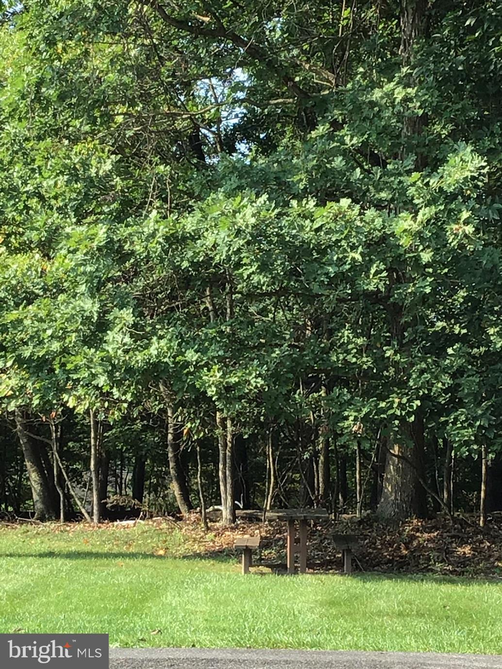 THE WOODS - Residential