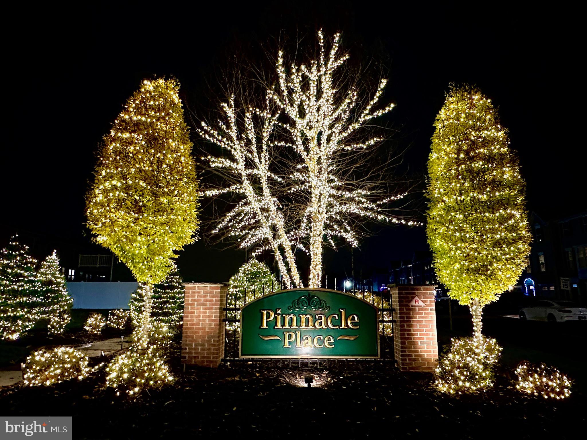 PINNACLE PLACE - Residential