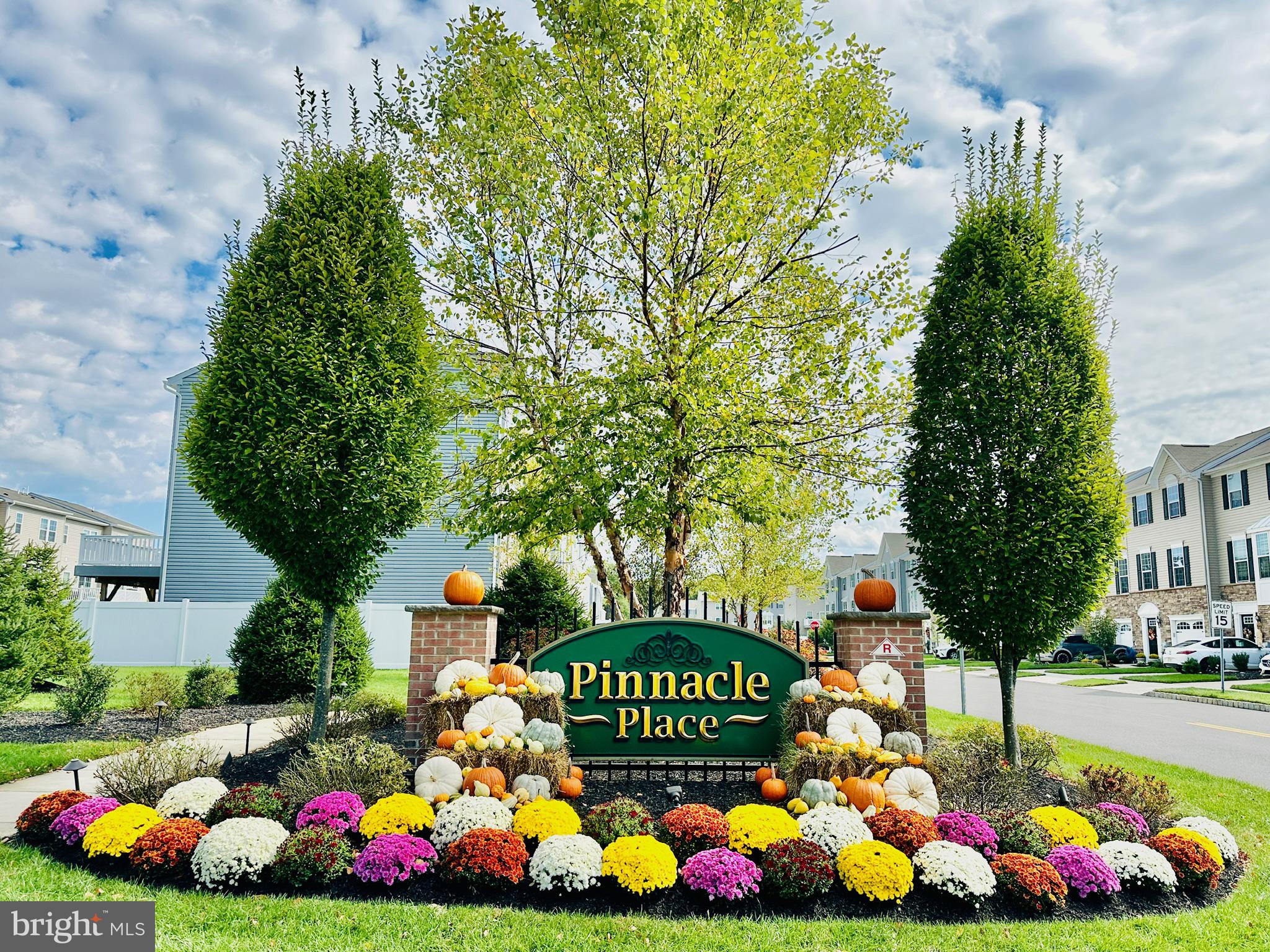 PINNACLE PLACE - Residential