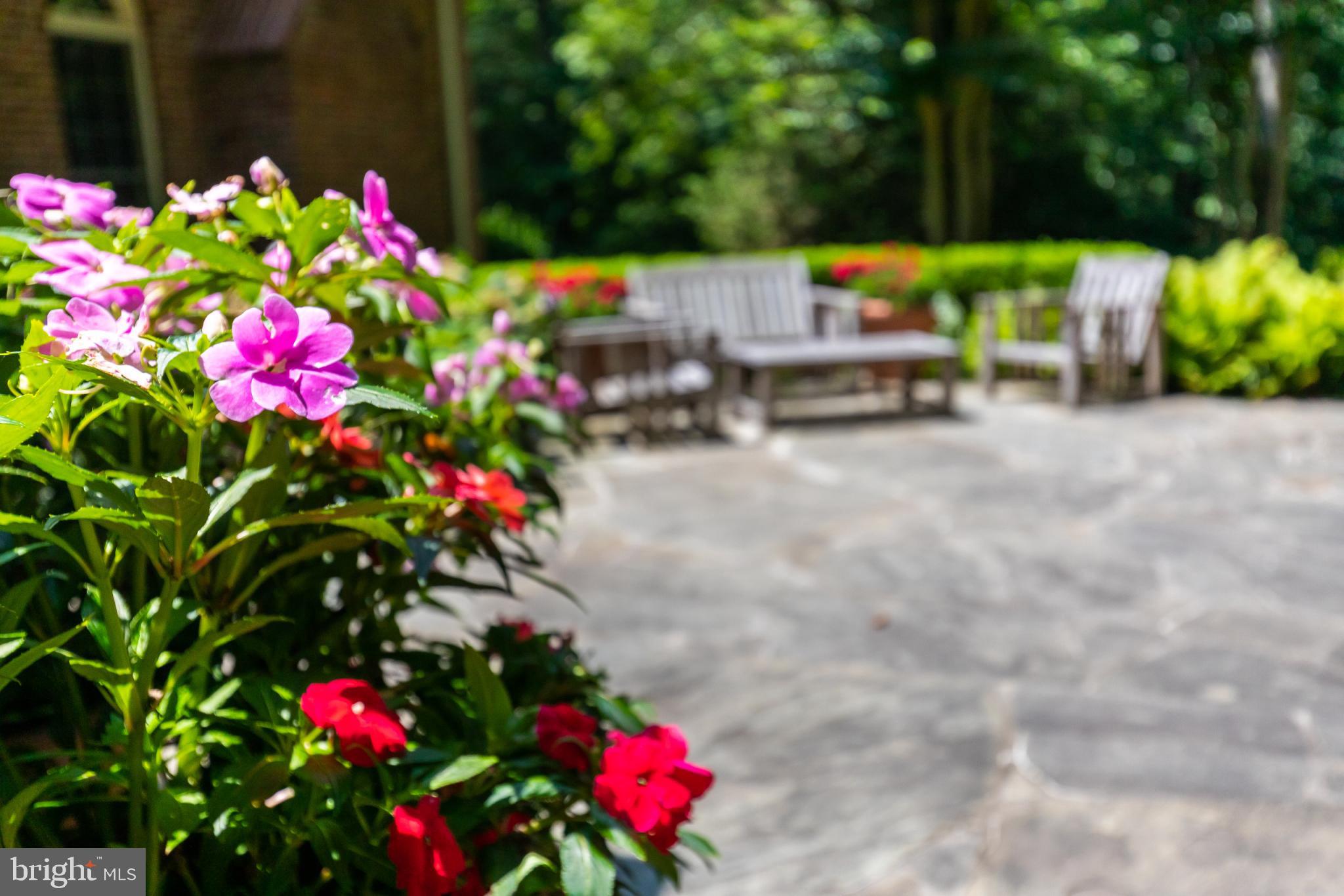 LINGANORE - Residential