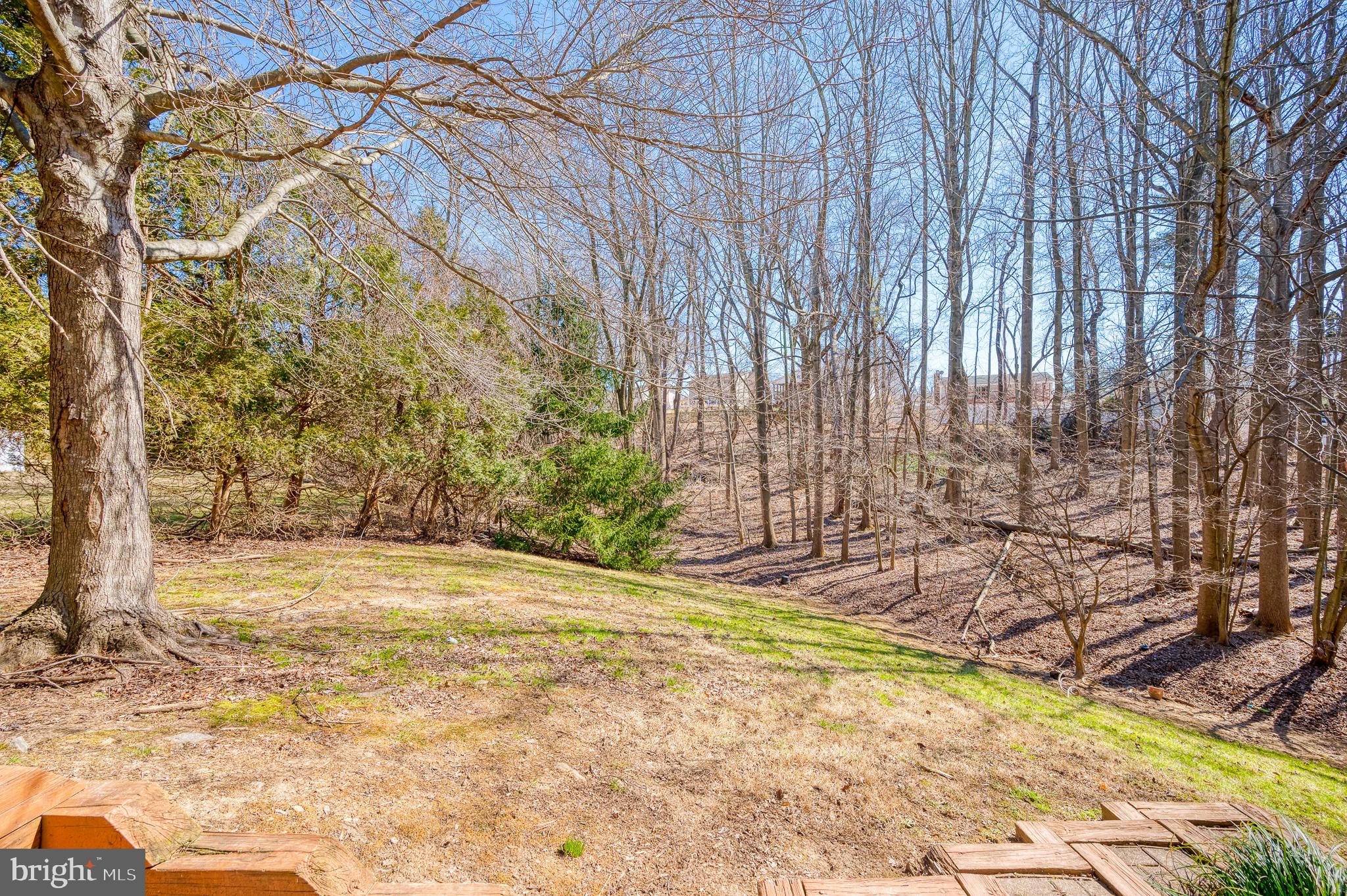 RED FOX FARMS - Residential Lease