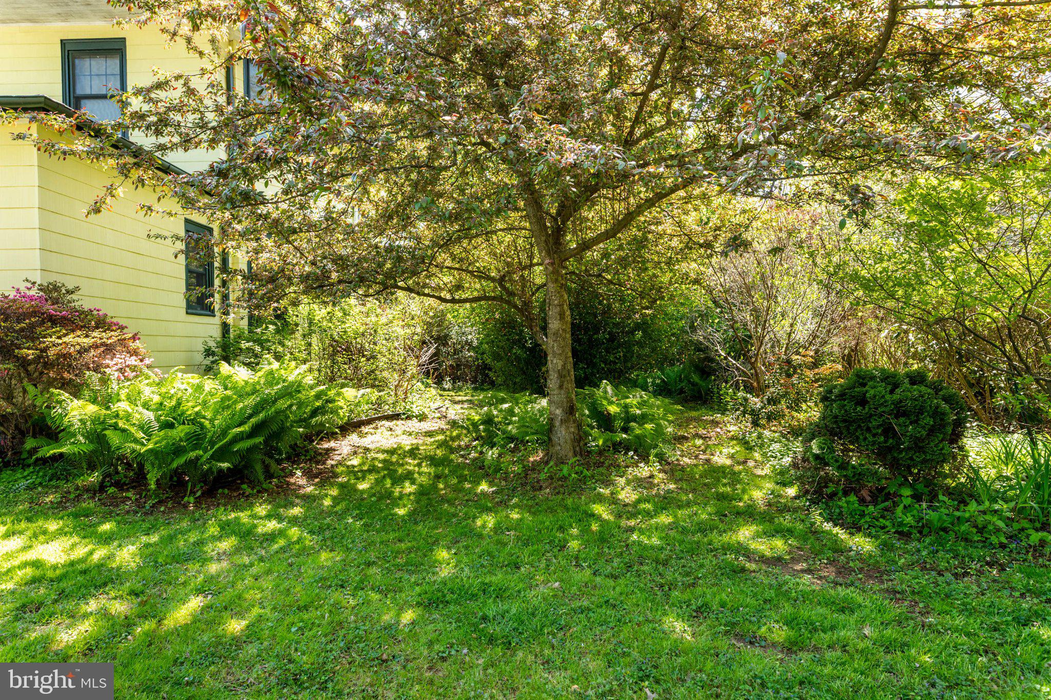 ELKINS PARK - Residential
