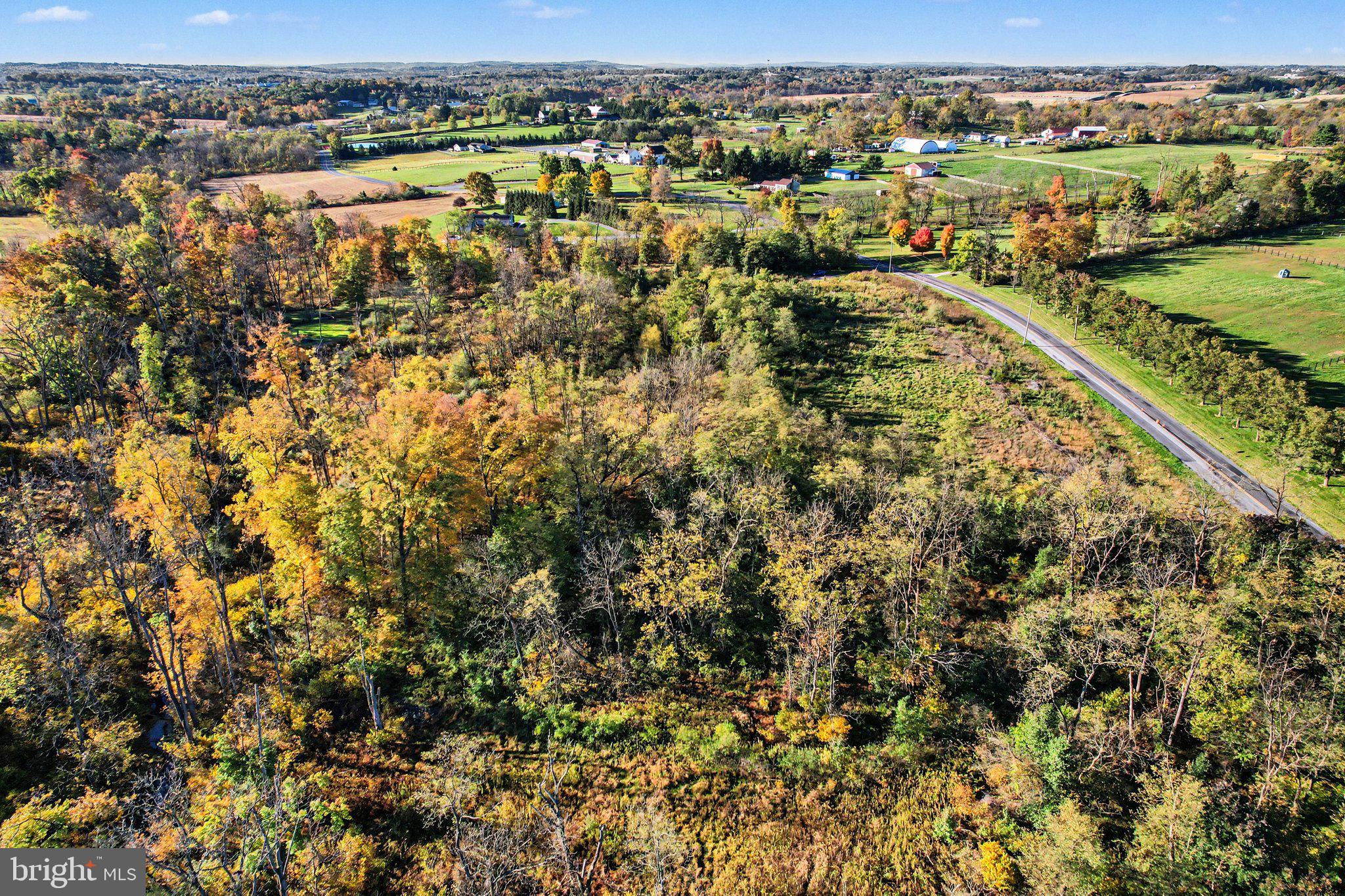 56 BULLFROG RD