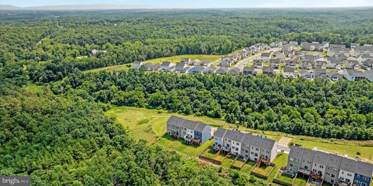 SNOWDEN BRIDGE - Residential Lease