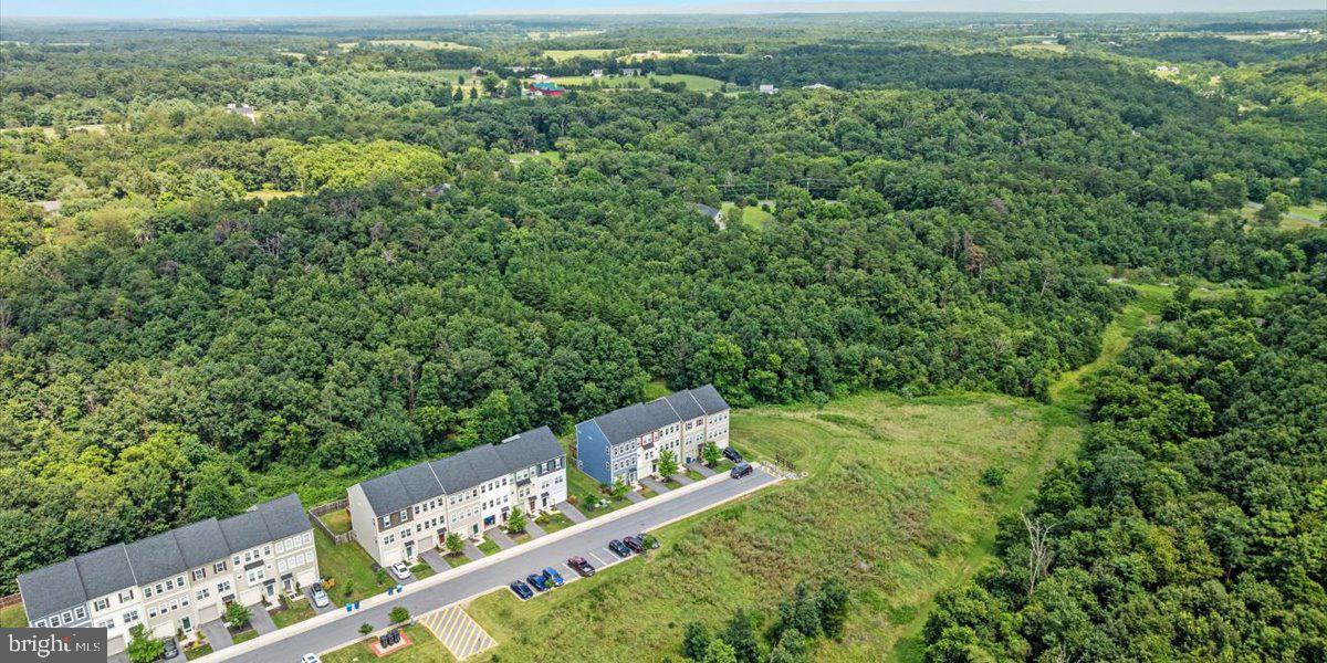 SNOWDEN BRIDGE - Residential Lease