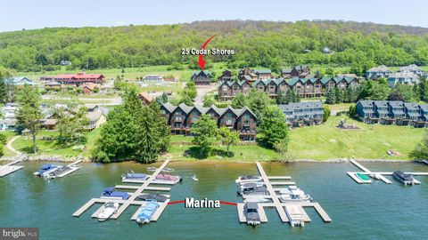 25 CEDAR SHORES DRIVE MC HENRY MD 21541