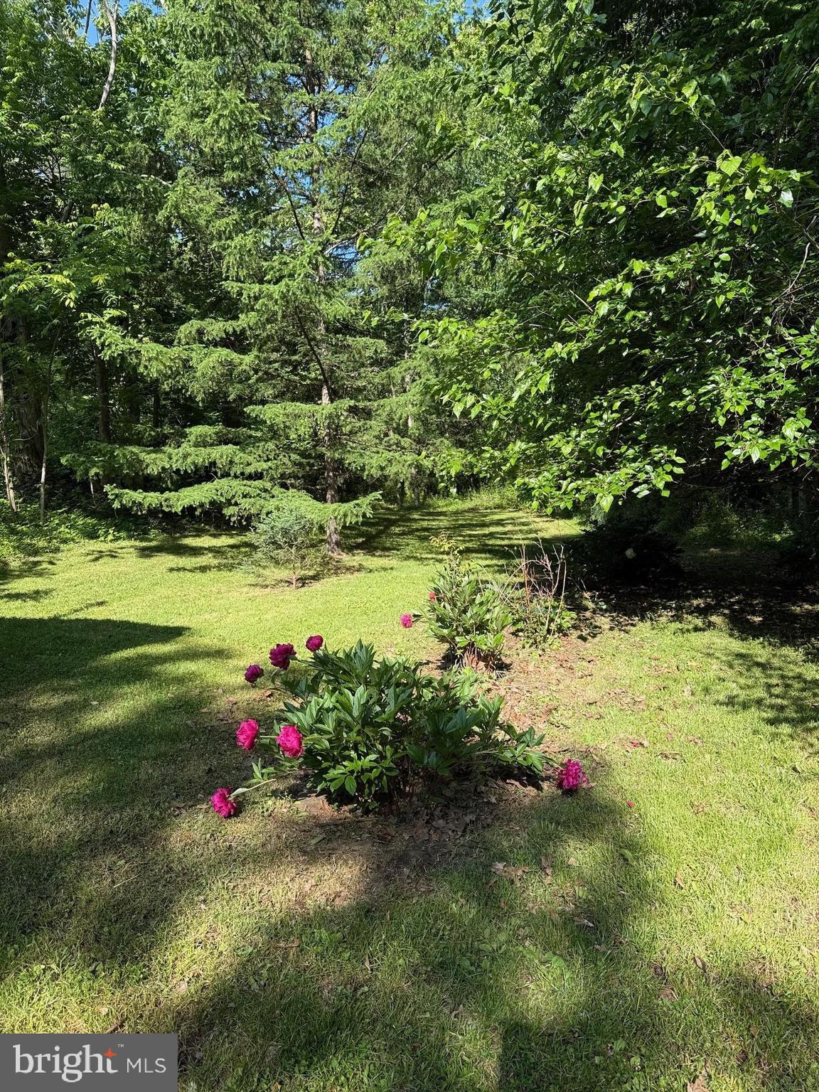 CHERRY GROVE - Residential