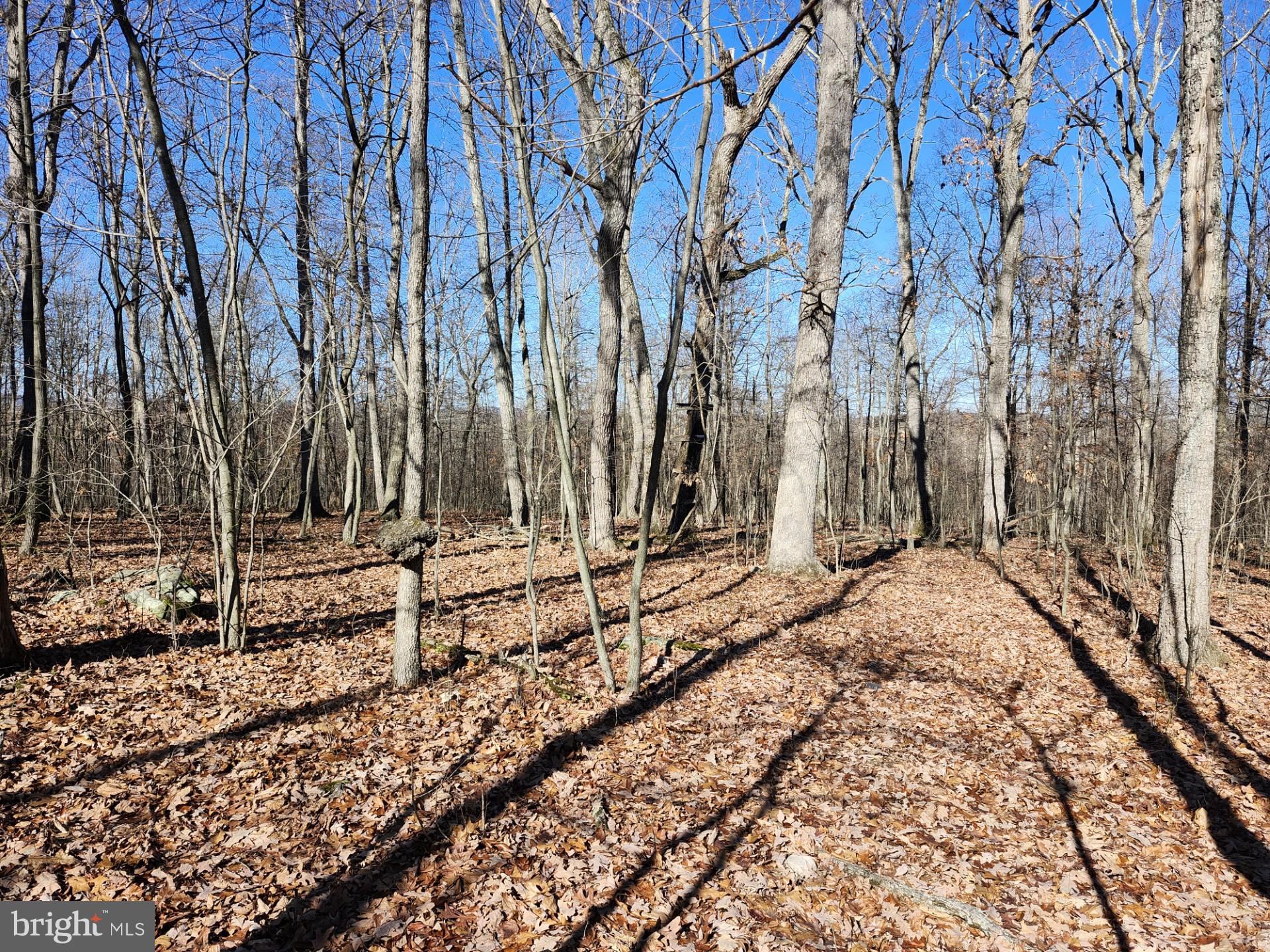 WOODLAND ESTATES - Residential