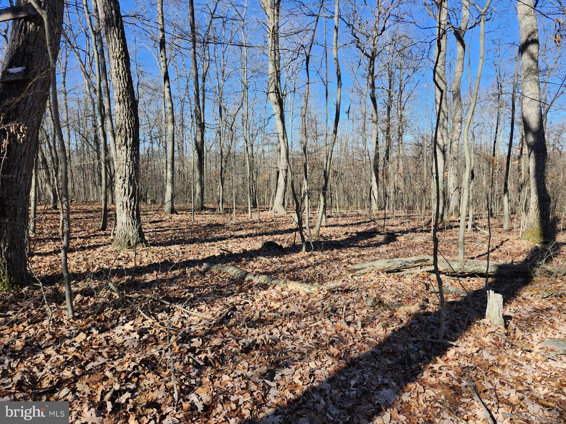 WOODLAND ESTATES - Residential