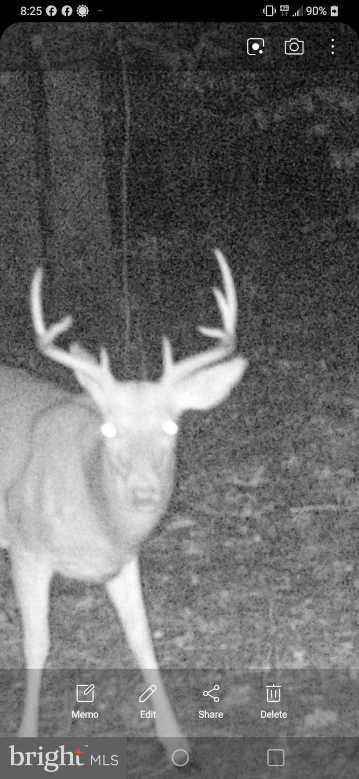 WOODLAND ESTATES - Residential